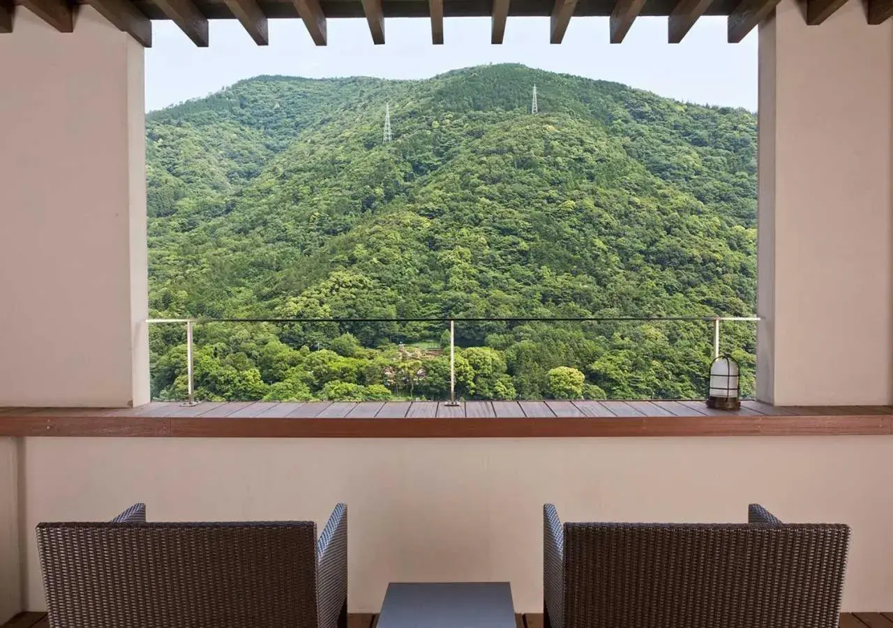 Photo of the whole room, Mountain View in Ryokan Aura Tachibana