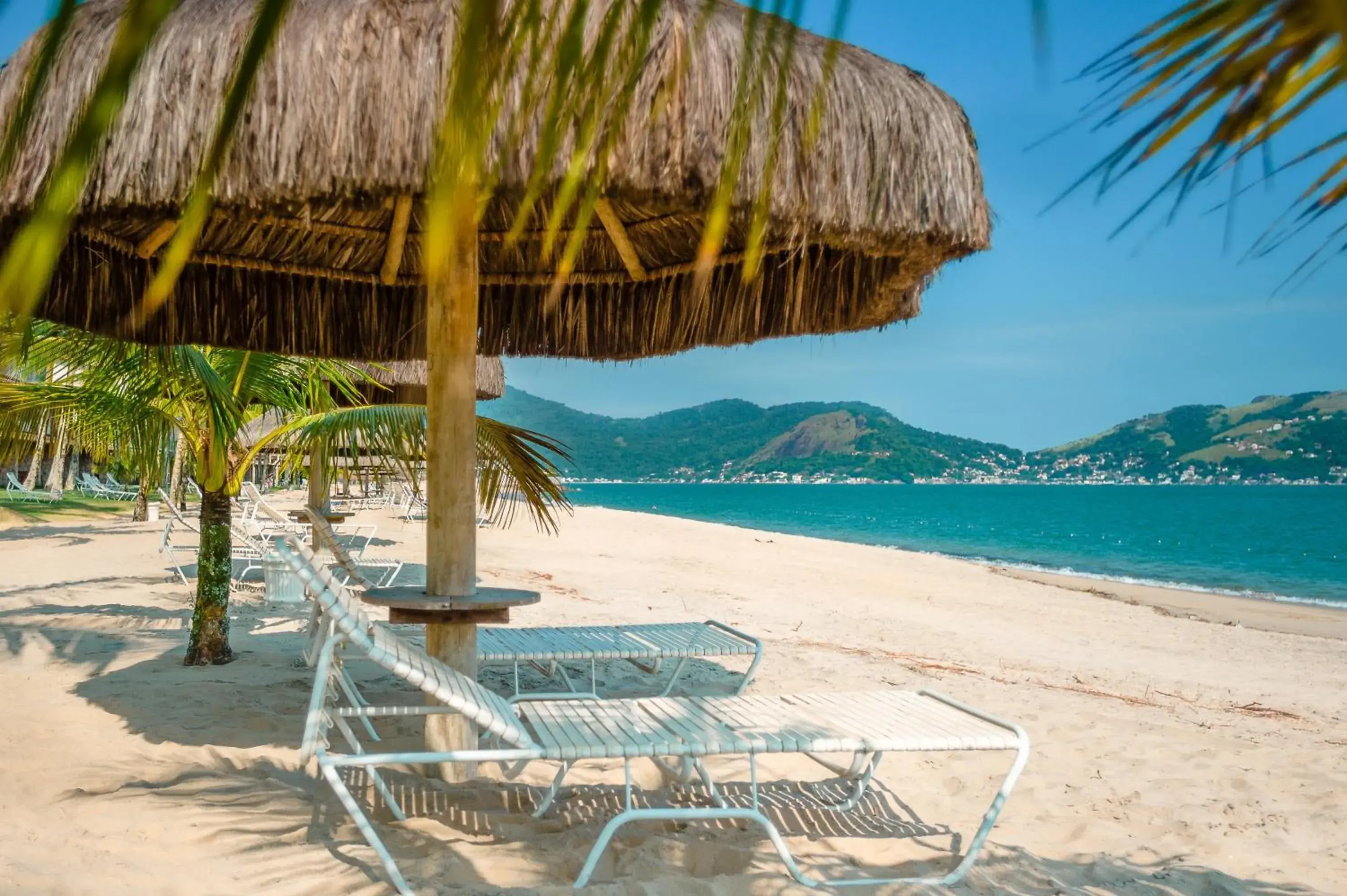 Beach in Hotel Portobello Resort & Safari