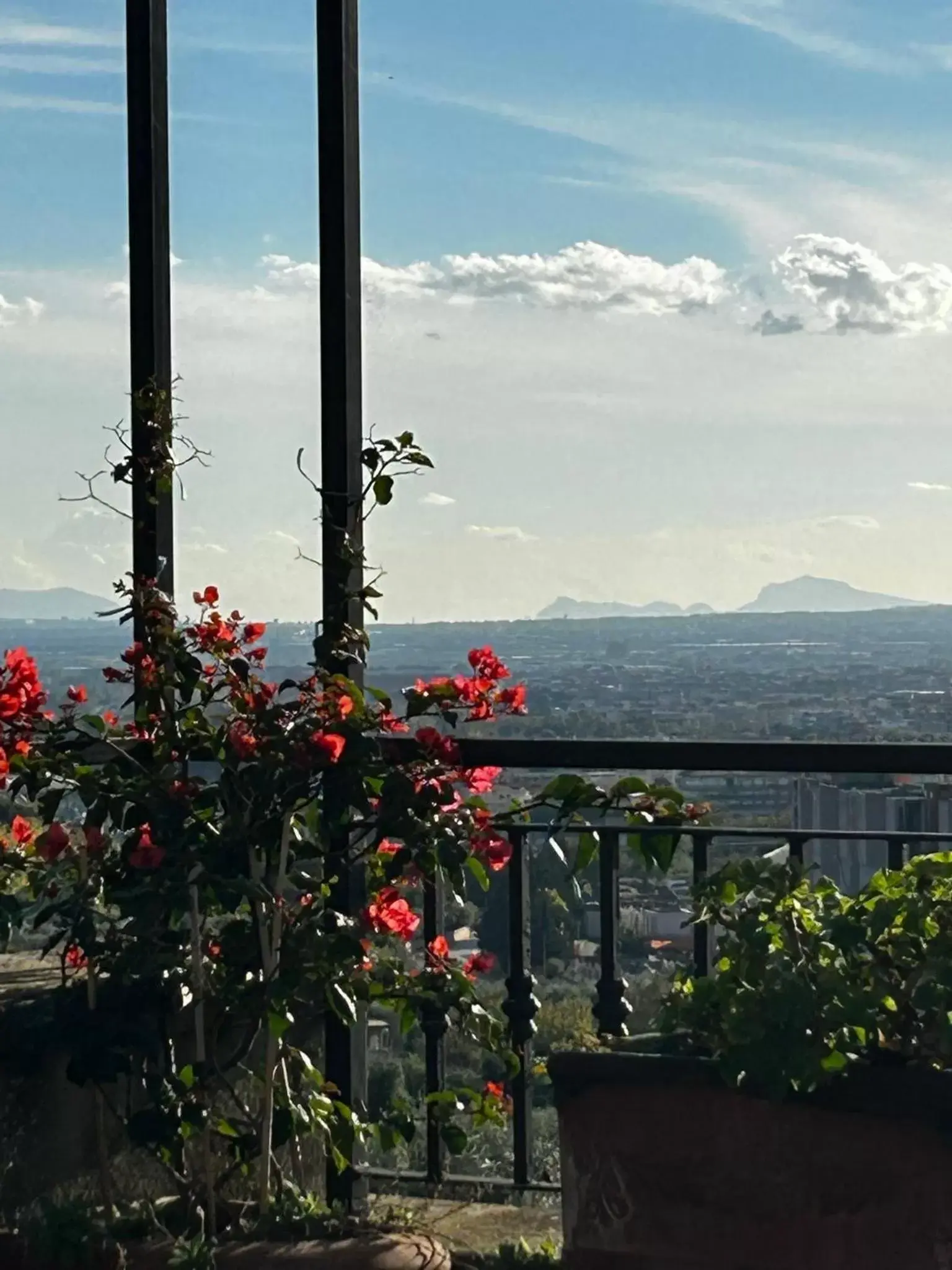 Natural landscape, Sea View in B&B MontAlbano