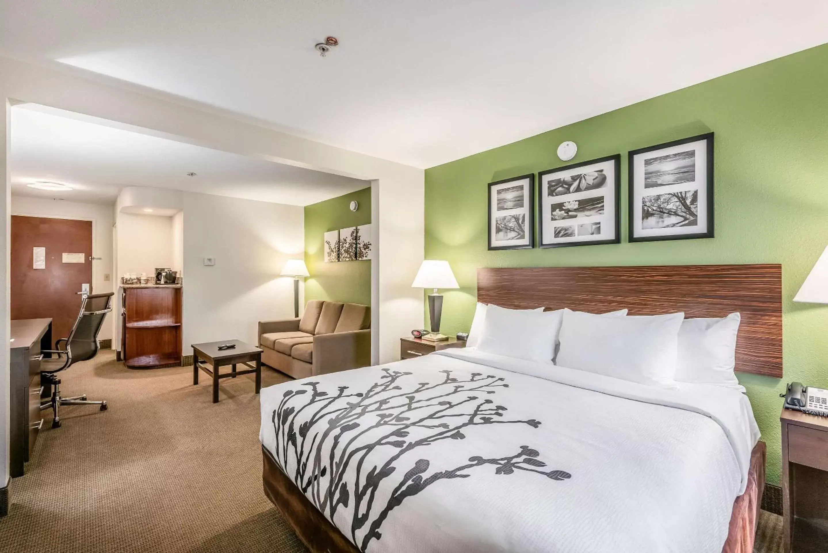 Bedroom in Sleep Inn & Suites Ruston Near University