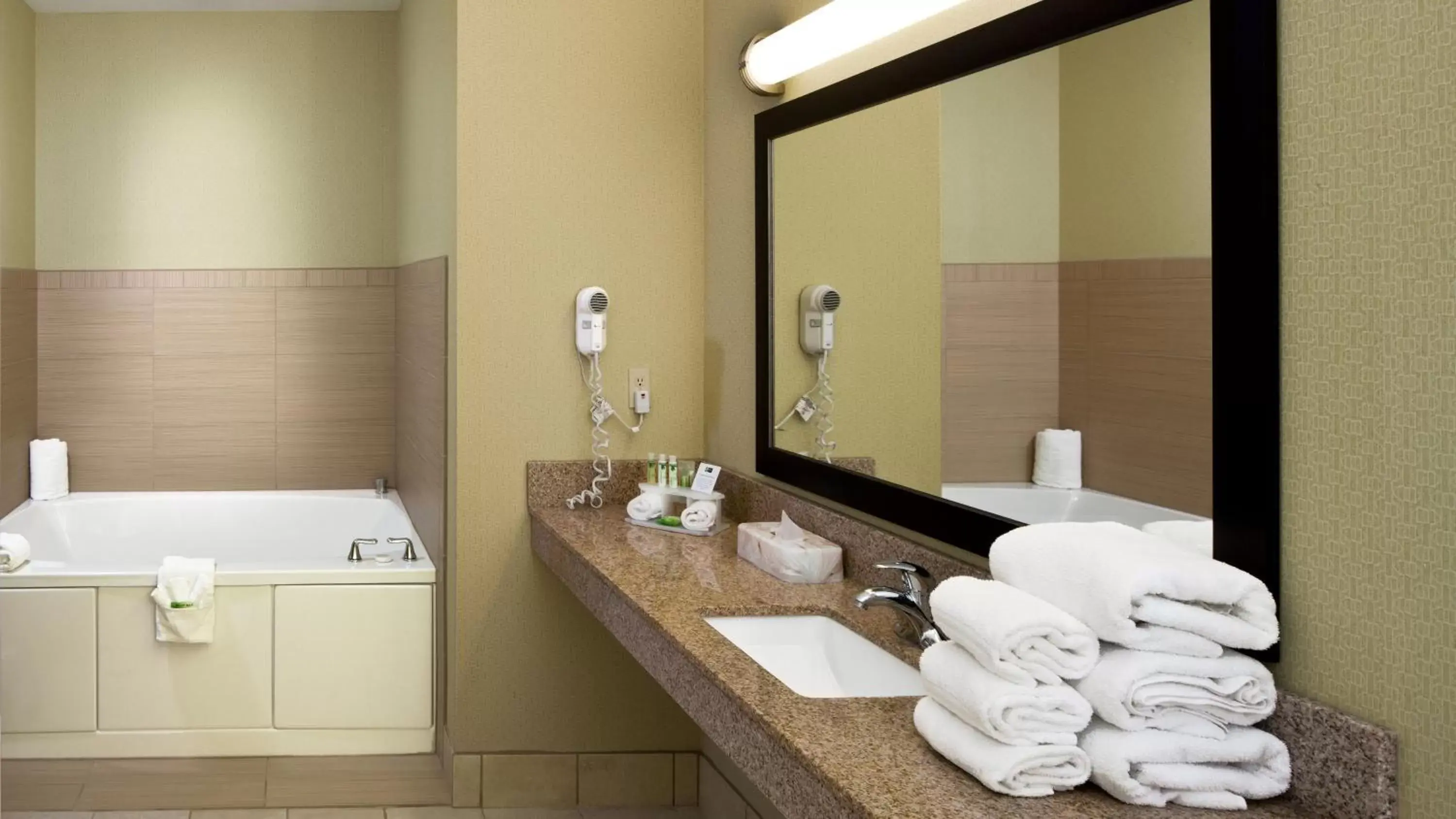 Photo of the whole room, Bathroom in Holiday Inn Express Hotel & Suites Saginaw, an IHG Hotel