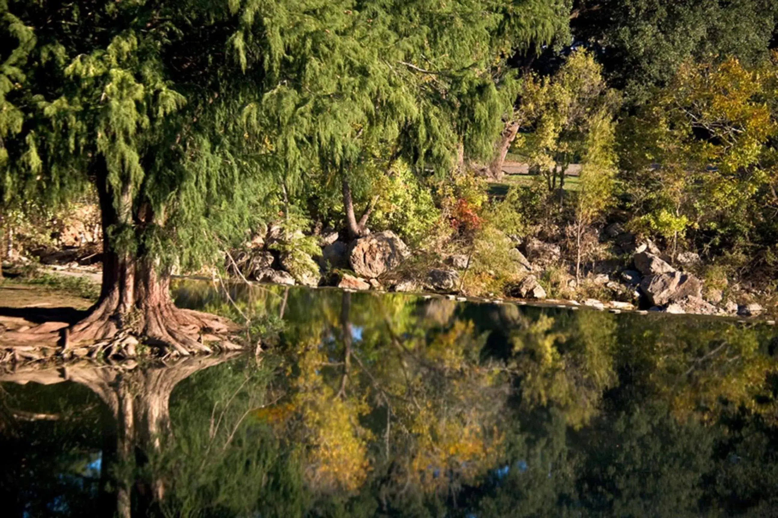 Natural Landscape in Blanco Riverside Cottages