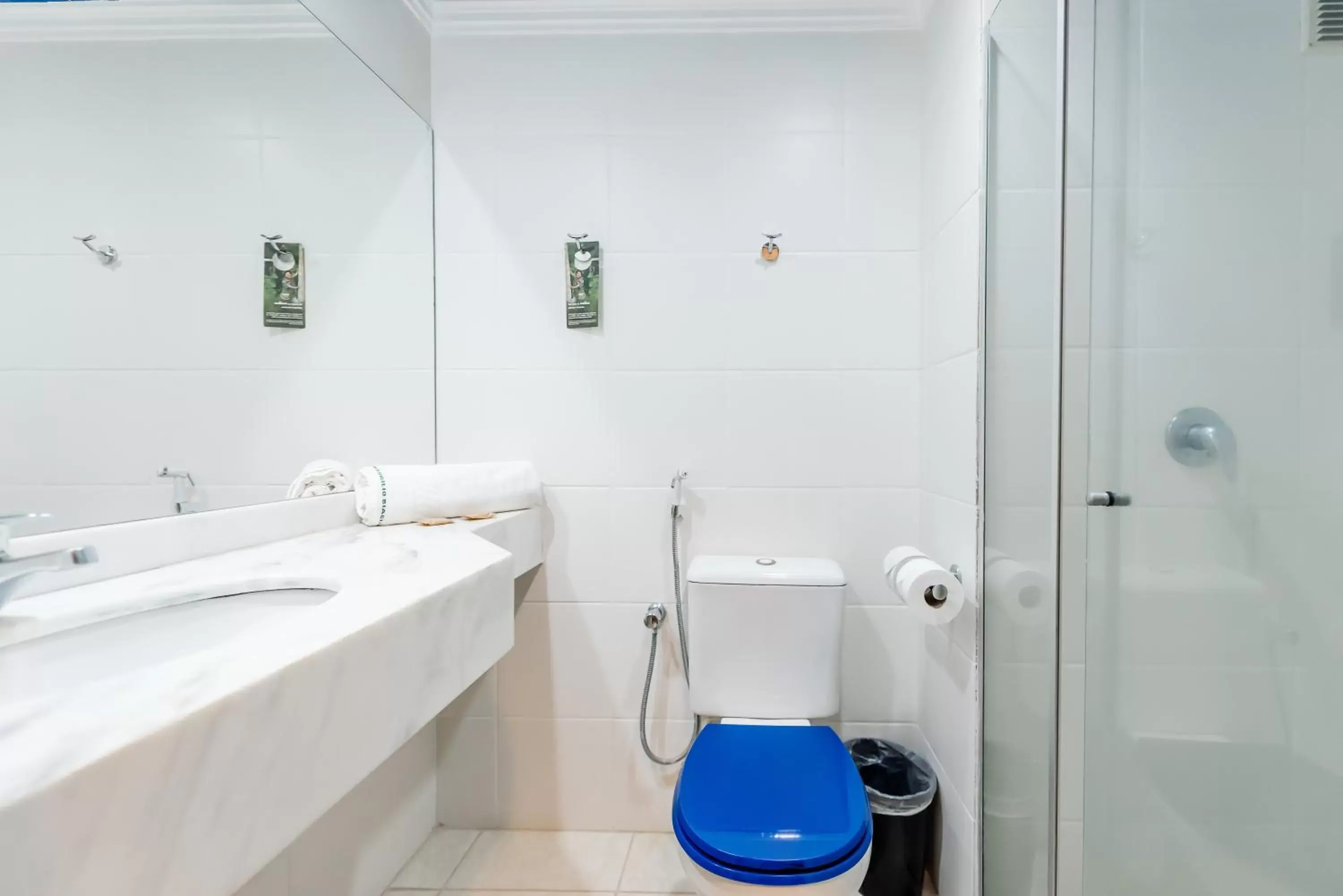 Shower, Bathroom in ibis Styles Ribeirao Preto Maurilio Biagi