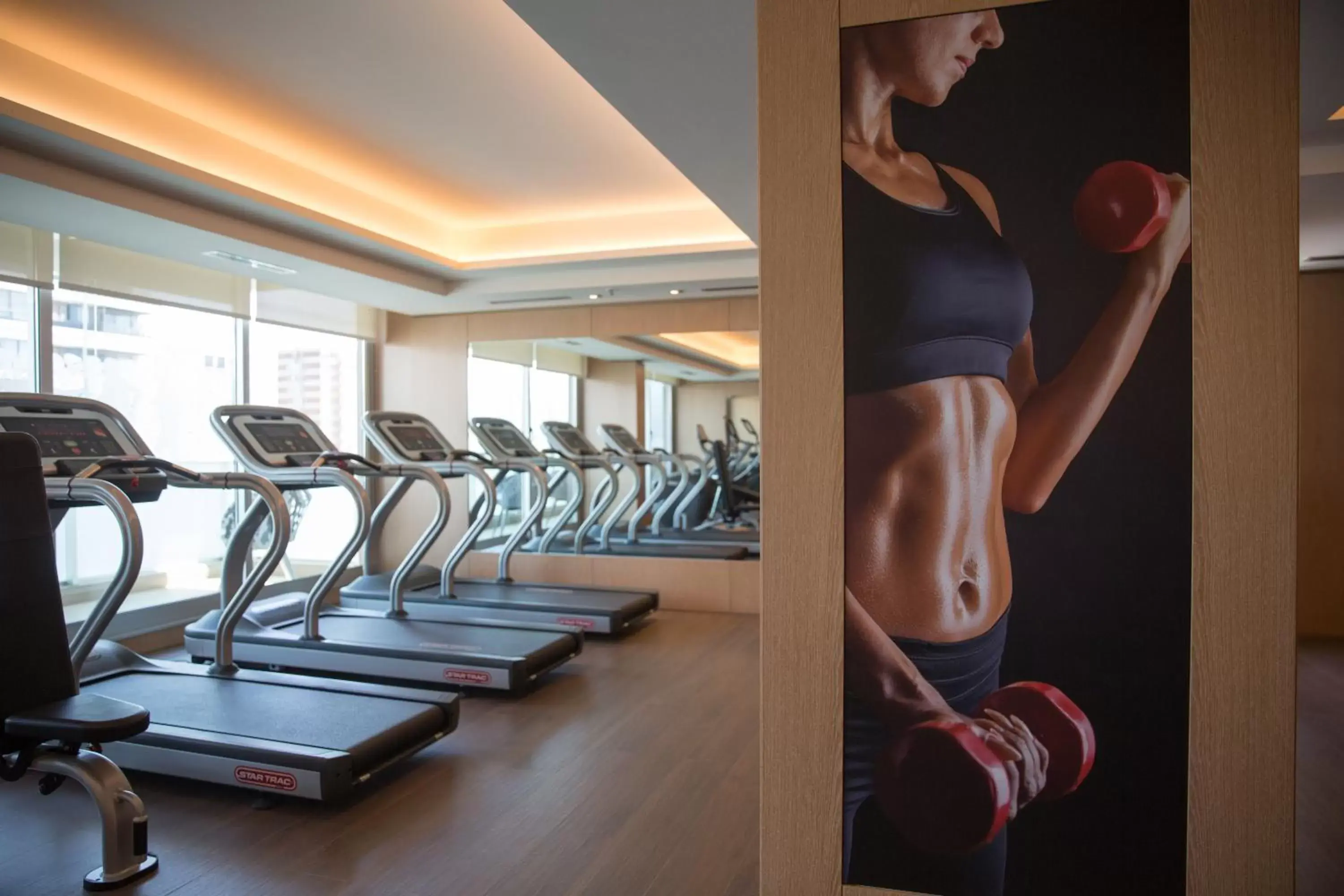 Fitness centre/facilities, Fitness Center/Facilities in Palladio Hotel Buenos Aires - MGallery