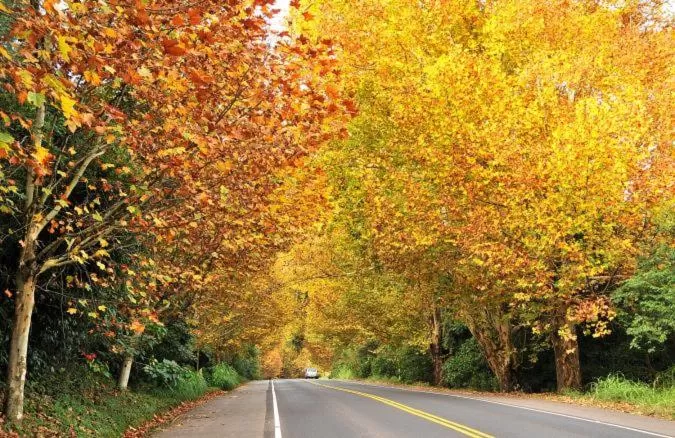 Entertainment, Garden in Hotel Visão
