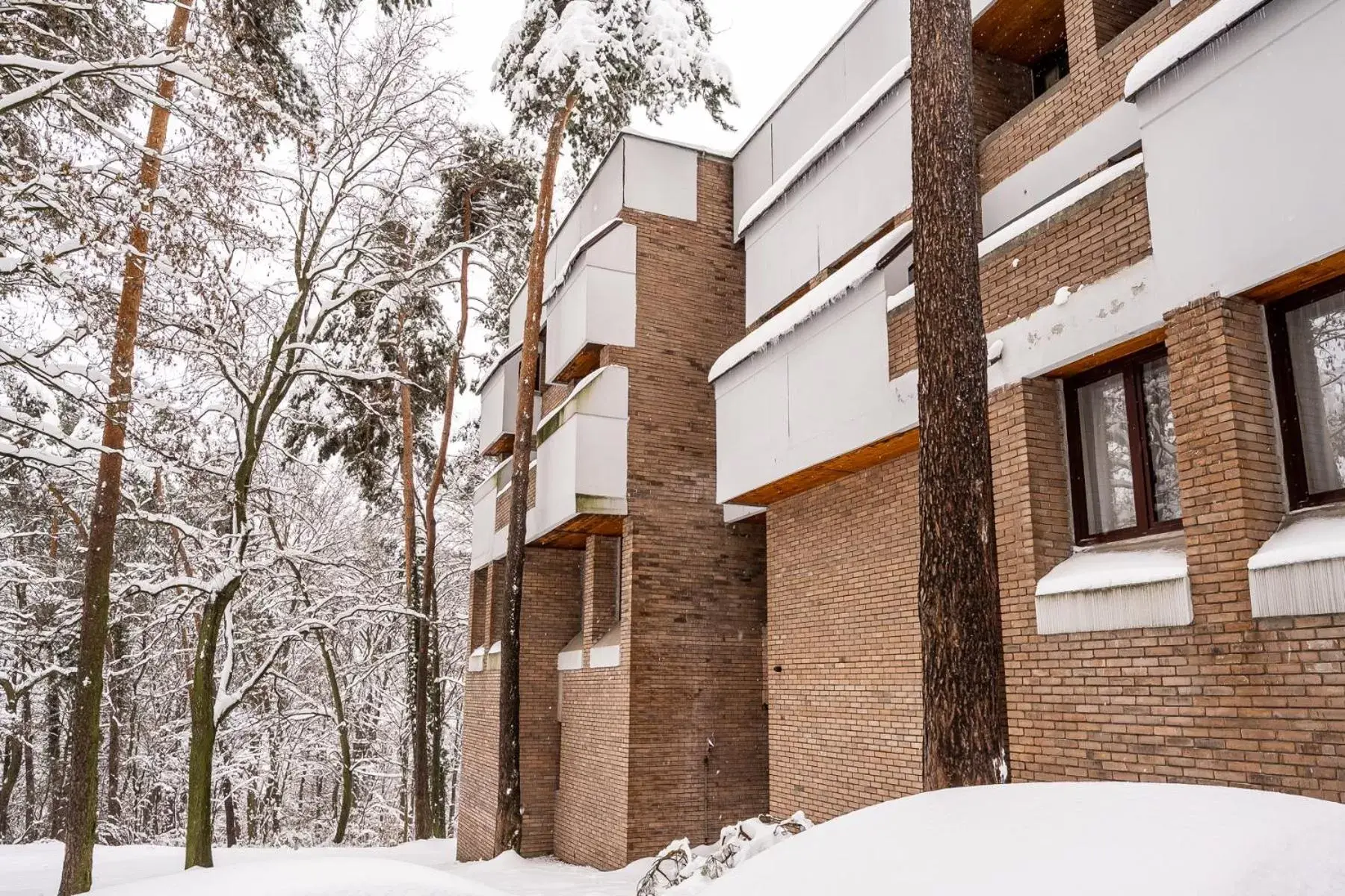 Property Building in Forest Hotel