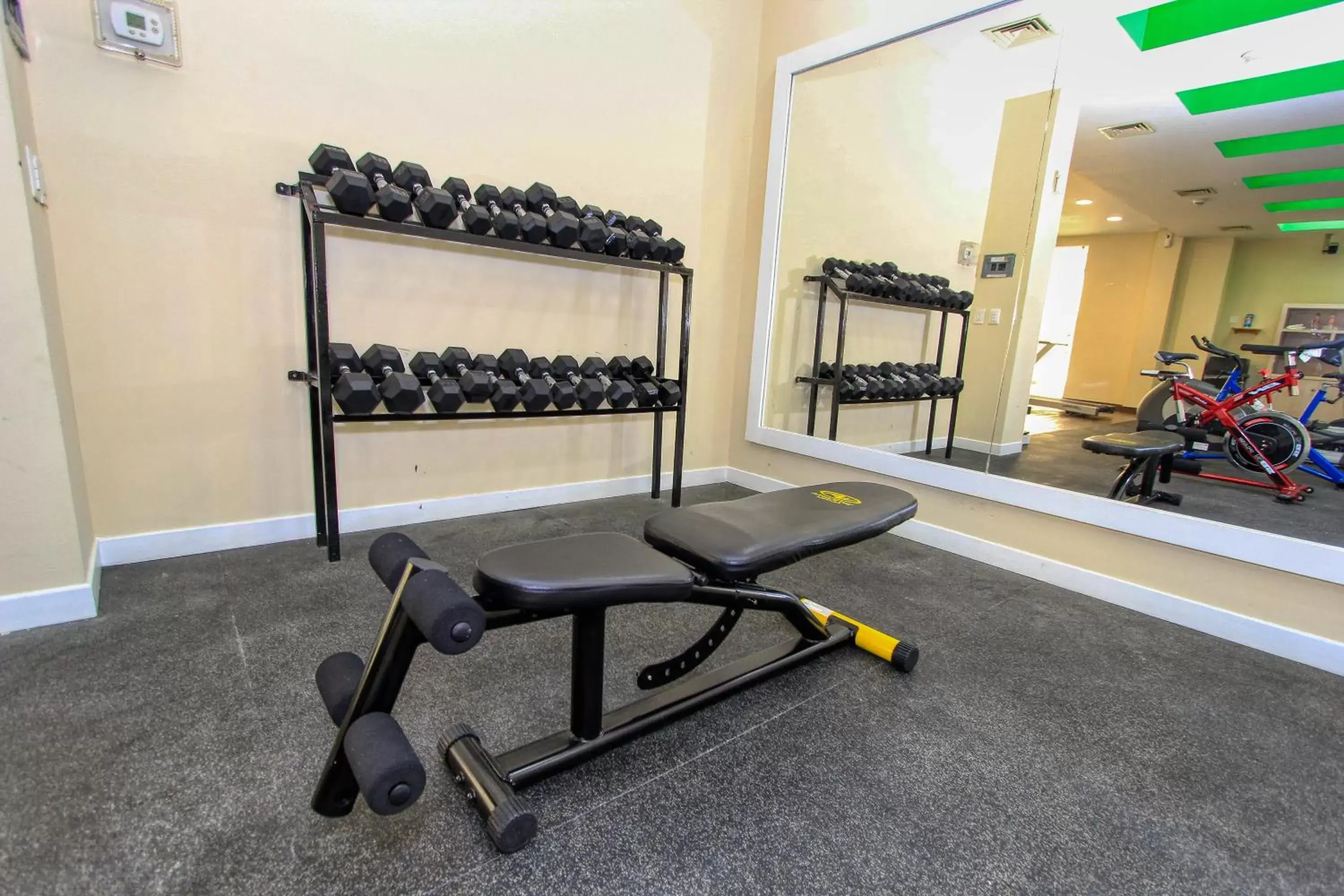 Fitness centre/facilities, Fitness Center/Facilities in Holiday Inn Leon, an IHG Hotel