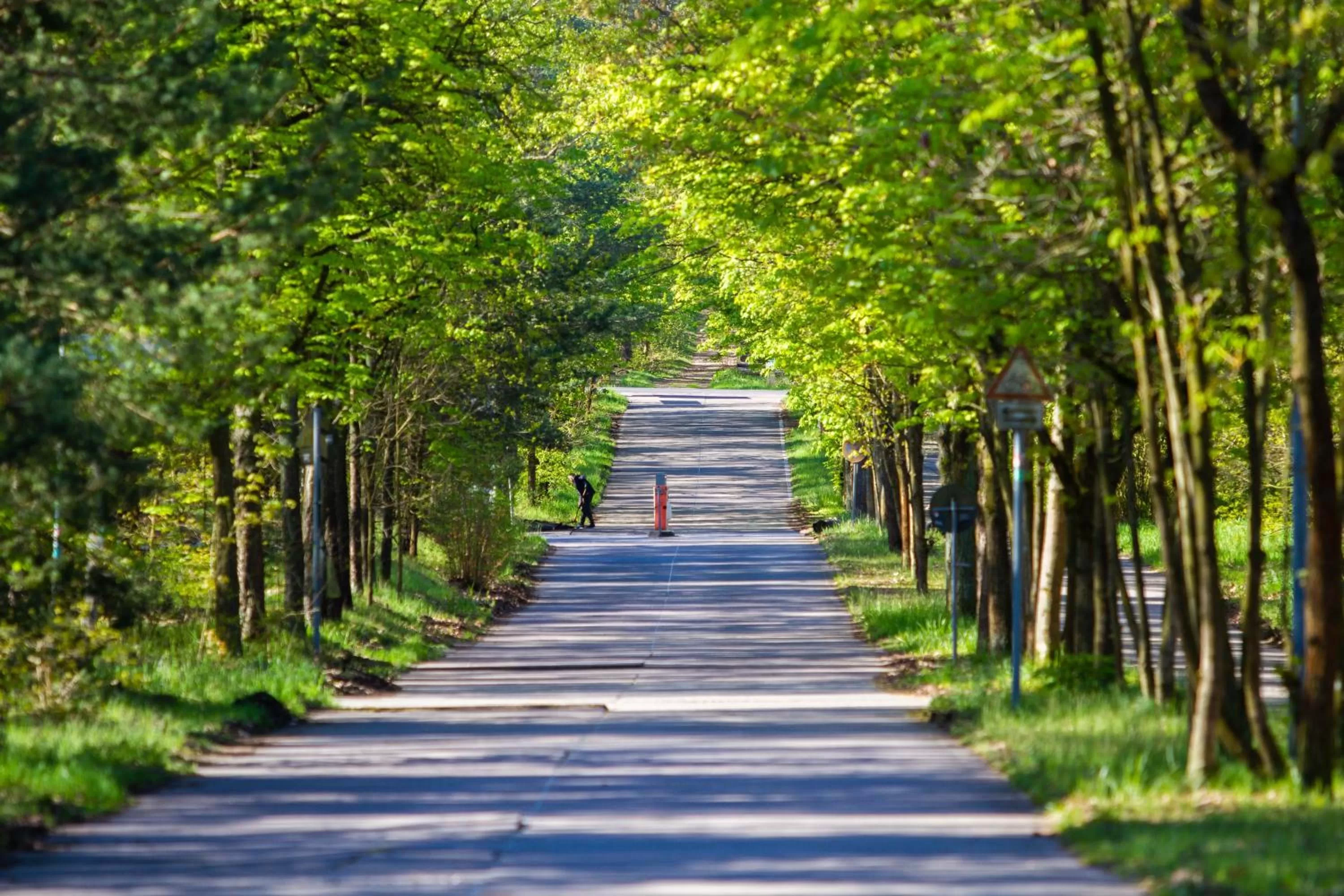 Spring in Müggelseeperle
