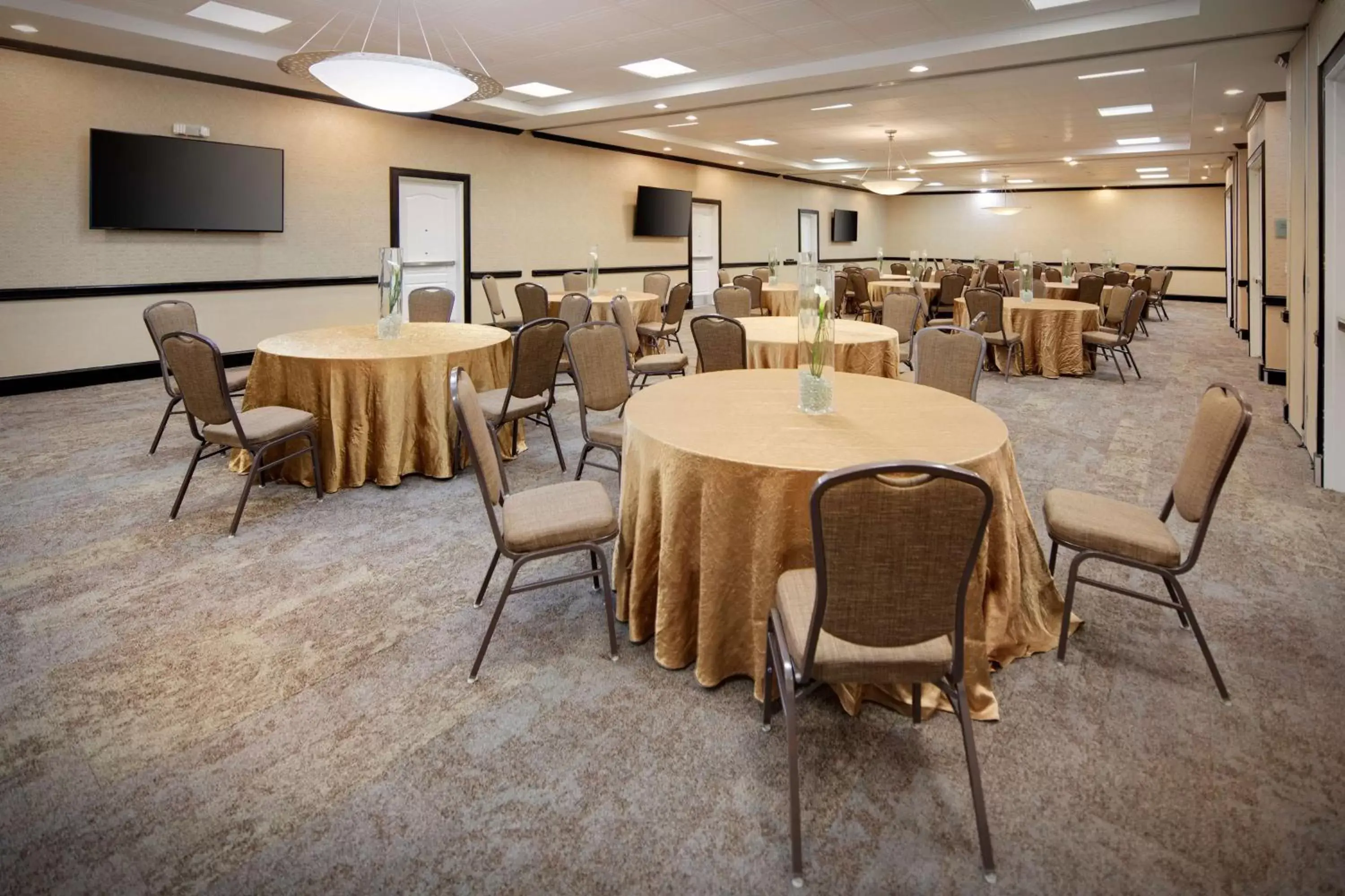 Meeting/conference room in Hilton Garden Inn Tyler