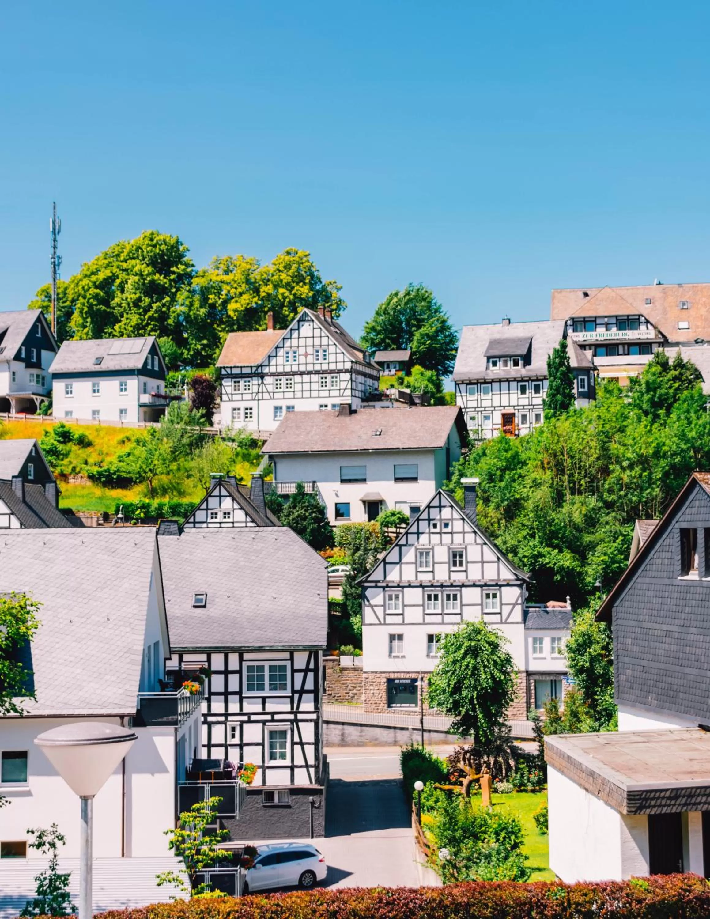 Natural landscape in Parkhotel Schmallenberg