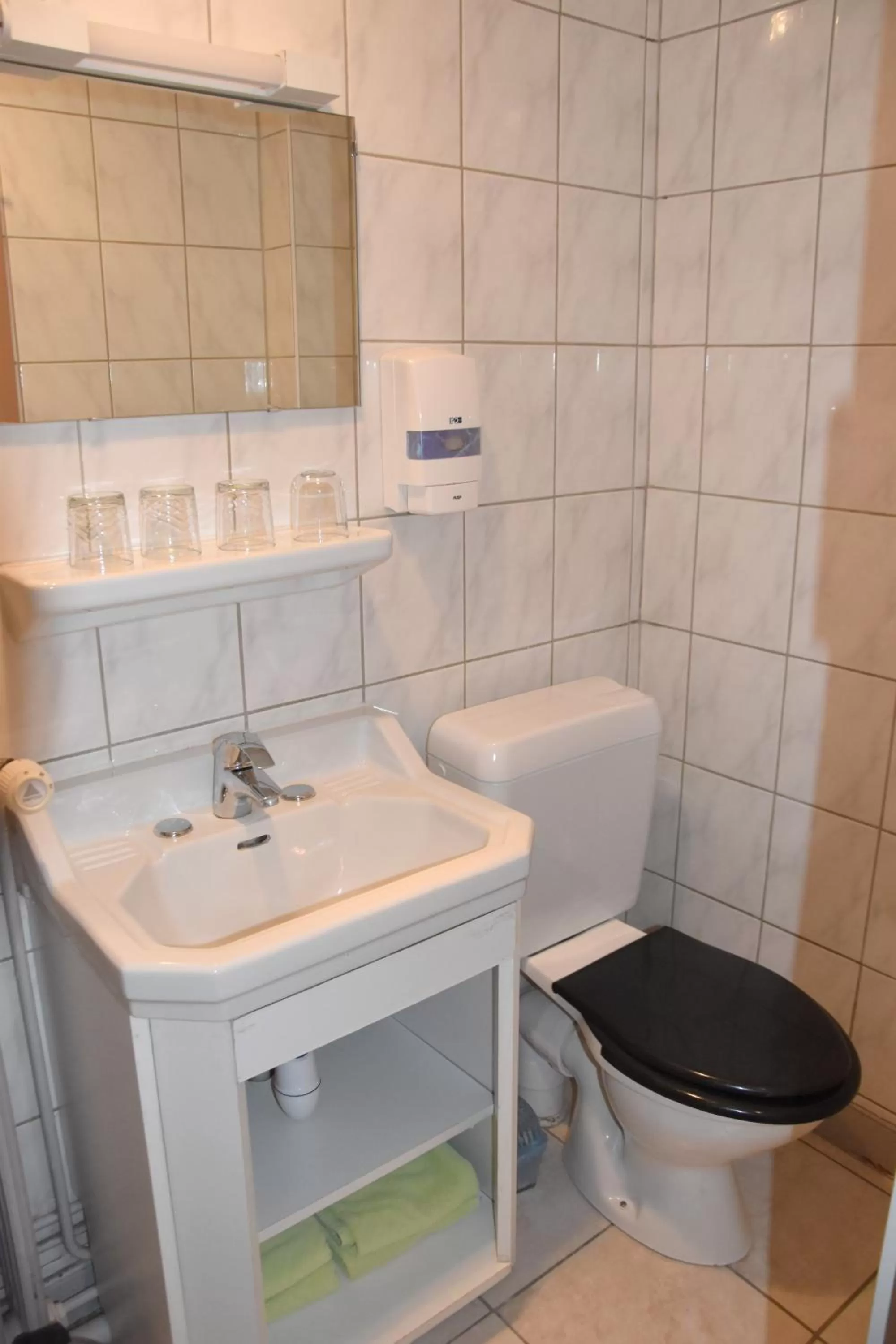 Toilet in Hotel Gai Relais