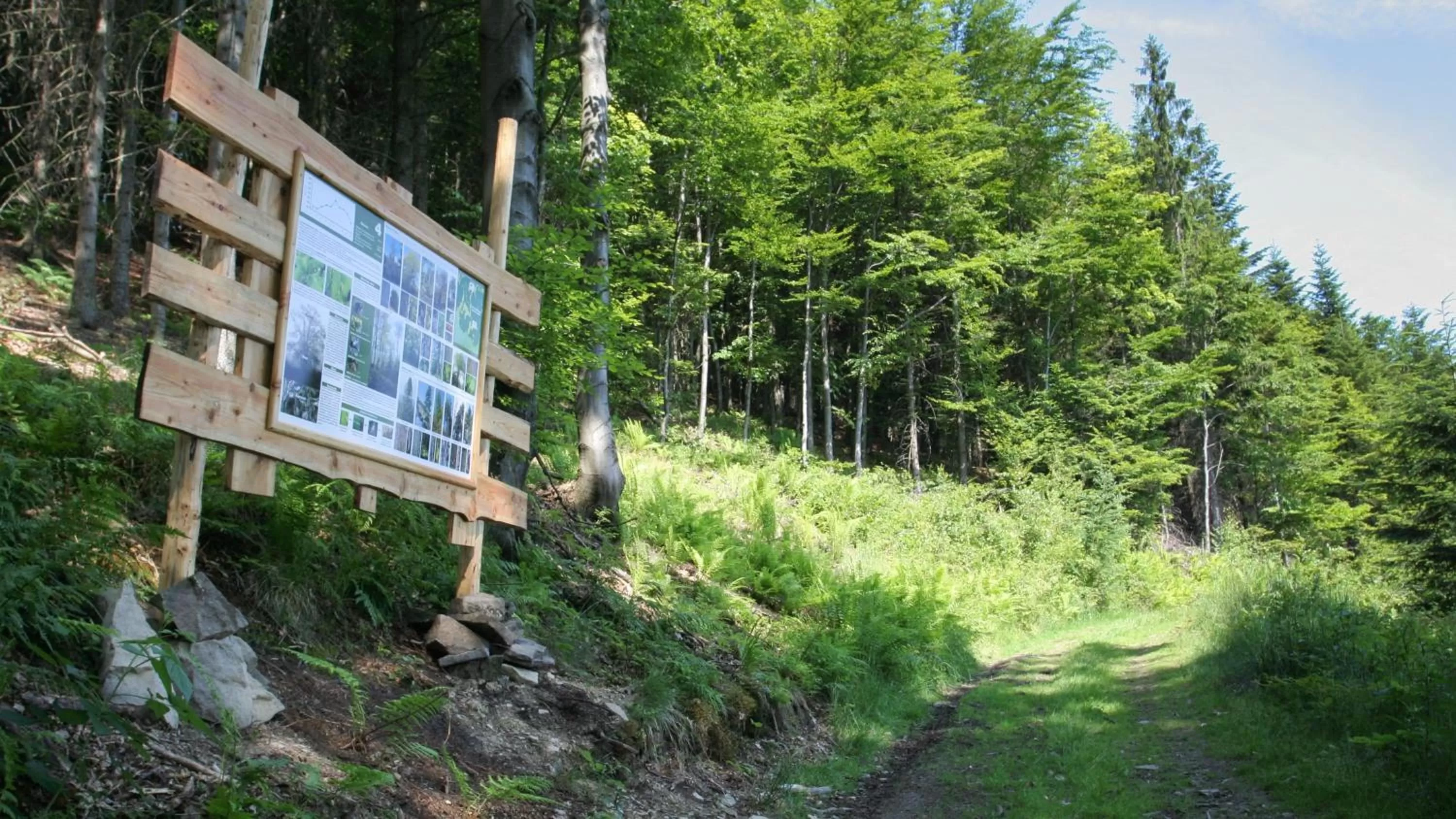 Pokoje w Oberży Czarny Groń