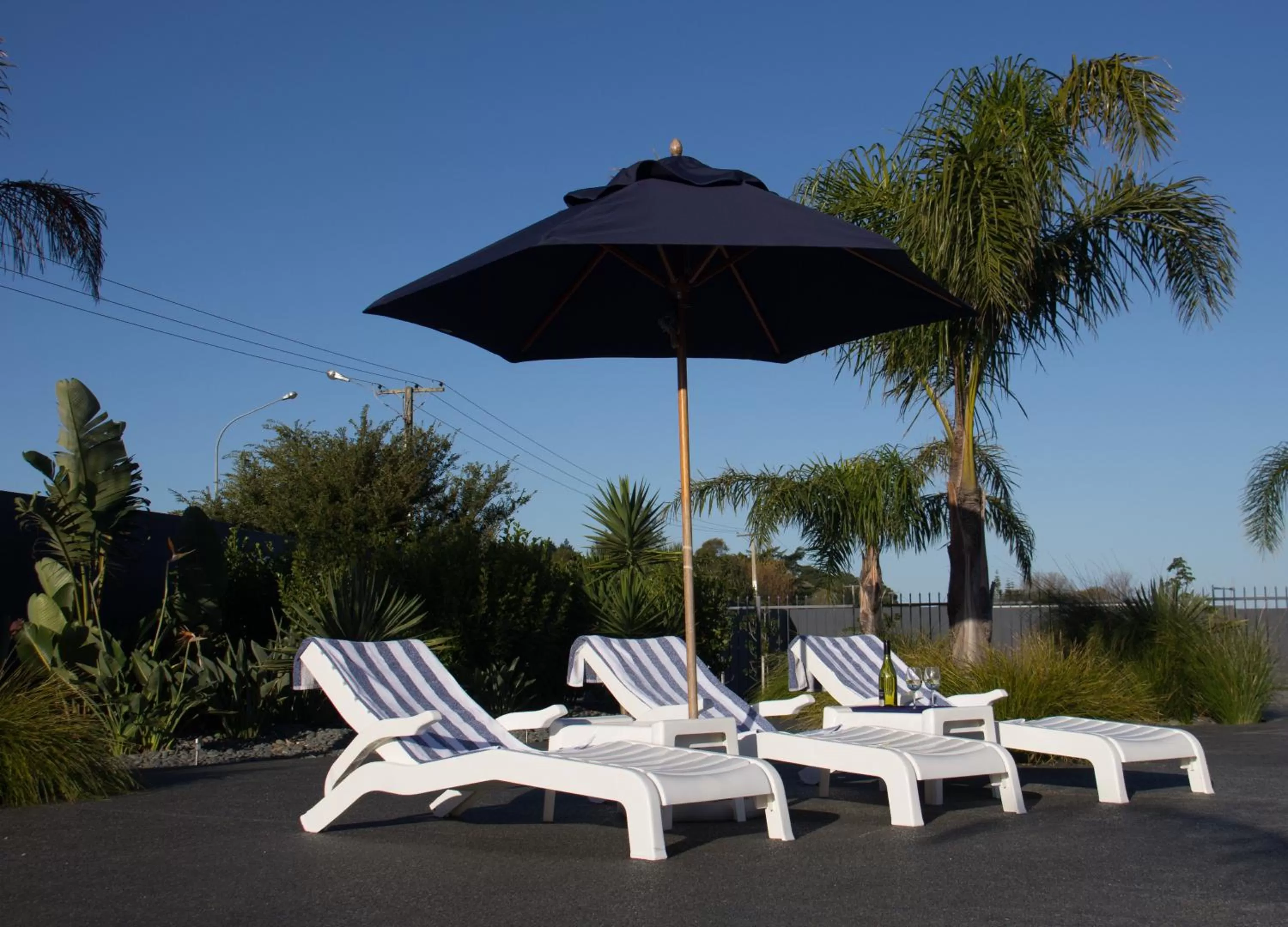 Garden in Motel Oasis