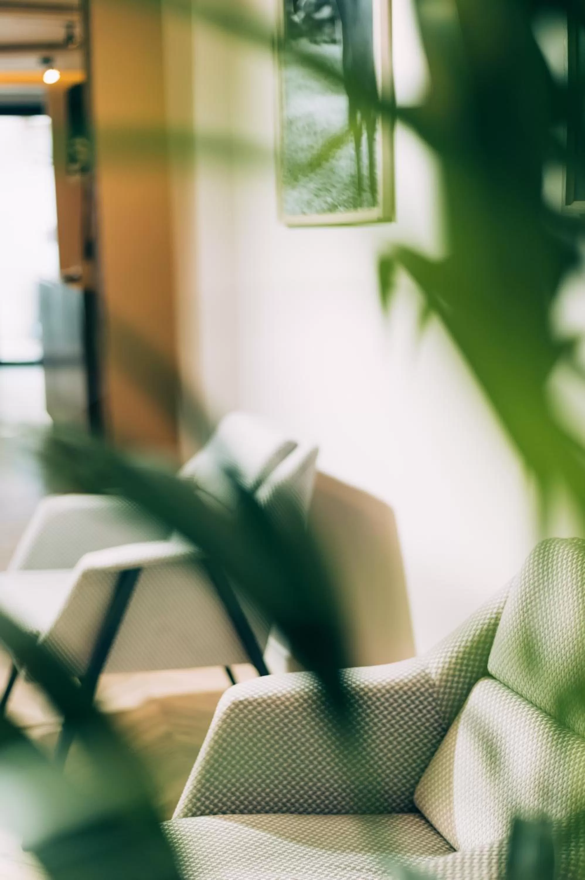 Lounge or bar in Hotel Stela Center