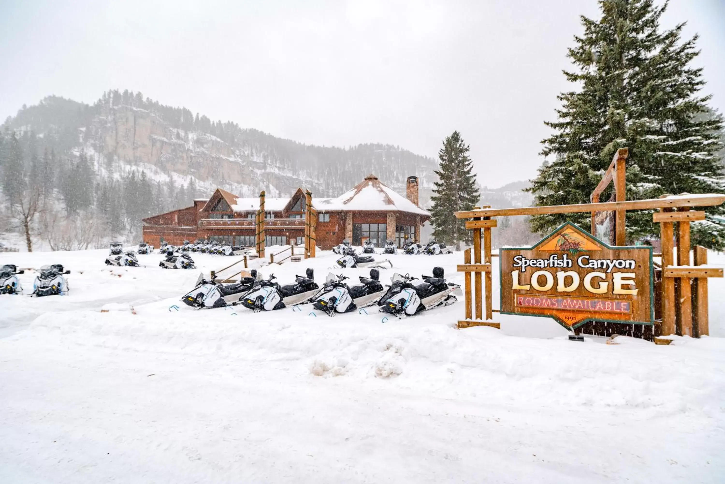 Bird's eye view, Property Building in Spearfish Canyon Lodge