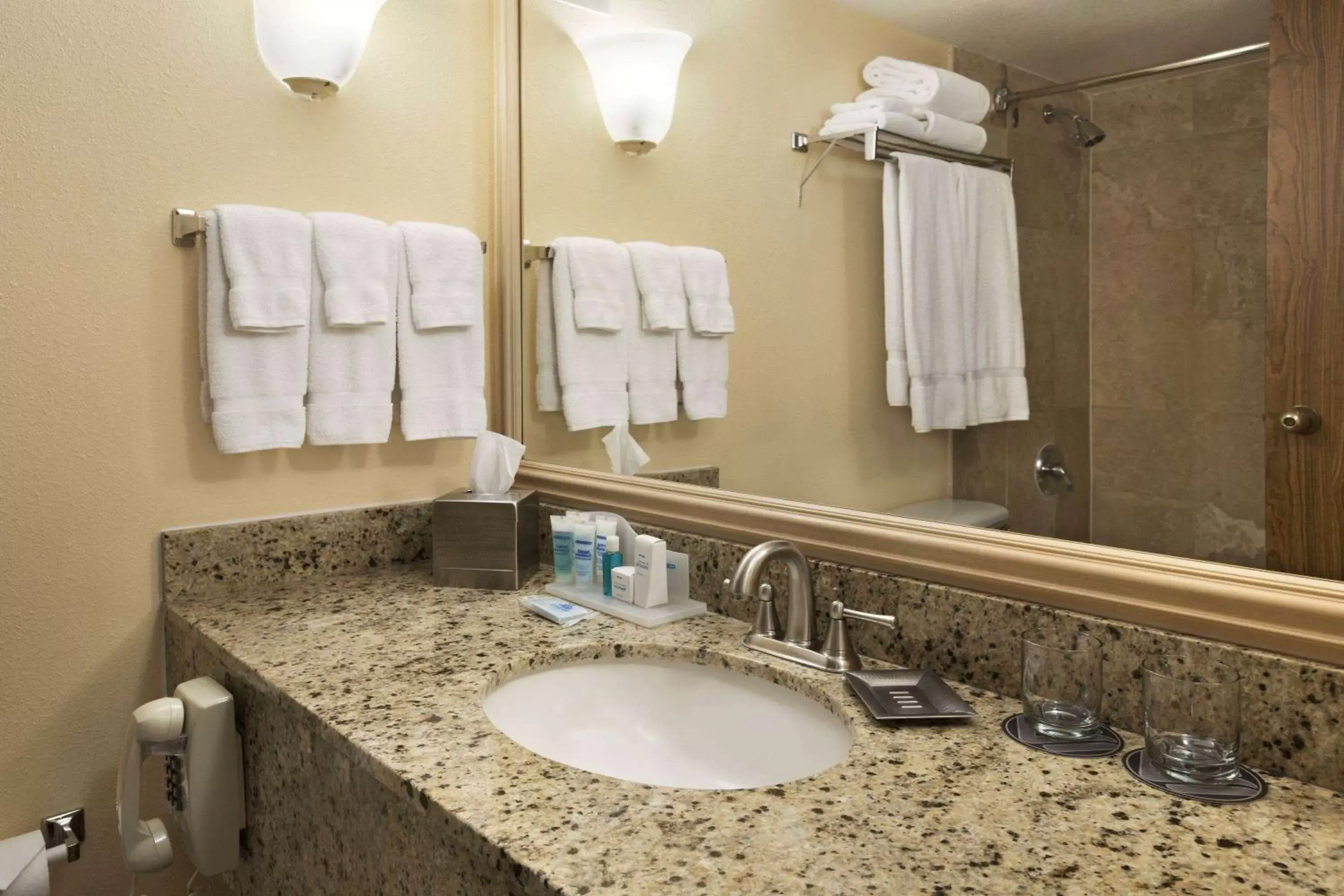 Bathroom in Wyndham El Paso Airport and Water Park