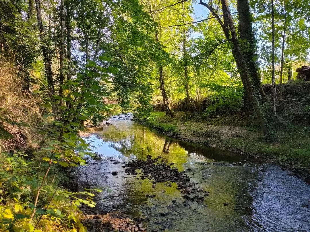 Garden in L'ancienne Gendarmerie