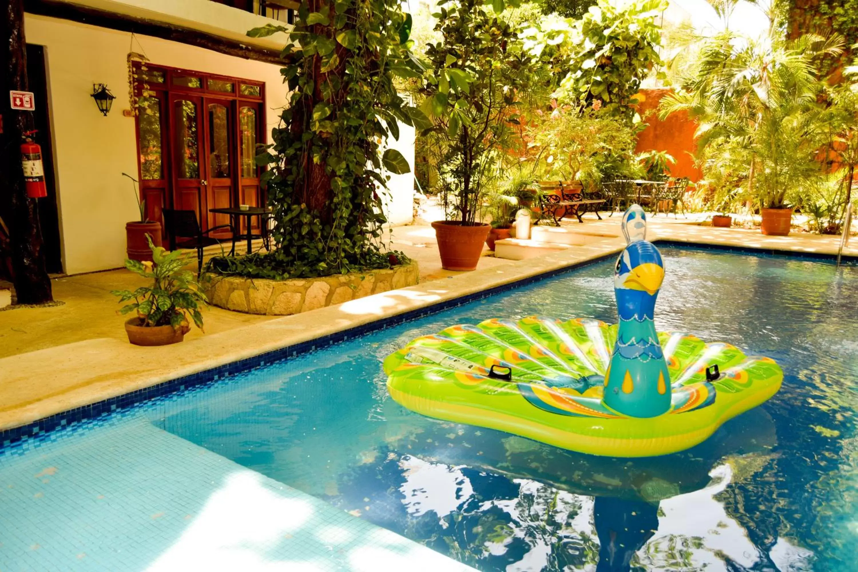 Swimming Pool in Siesta Fiesta Hotel - 5th Avenue