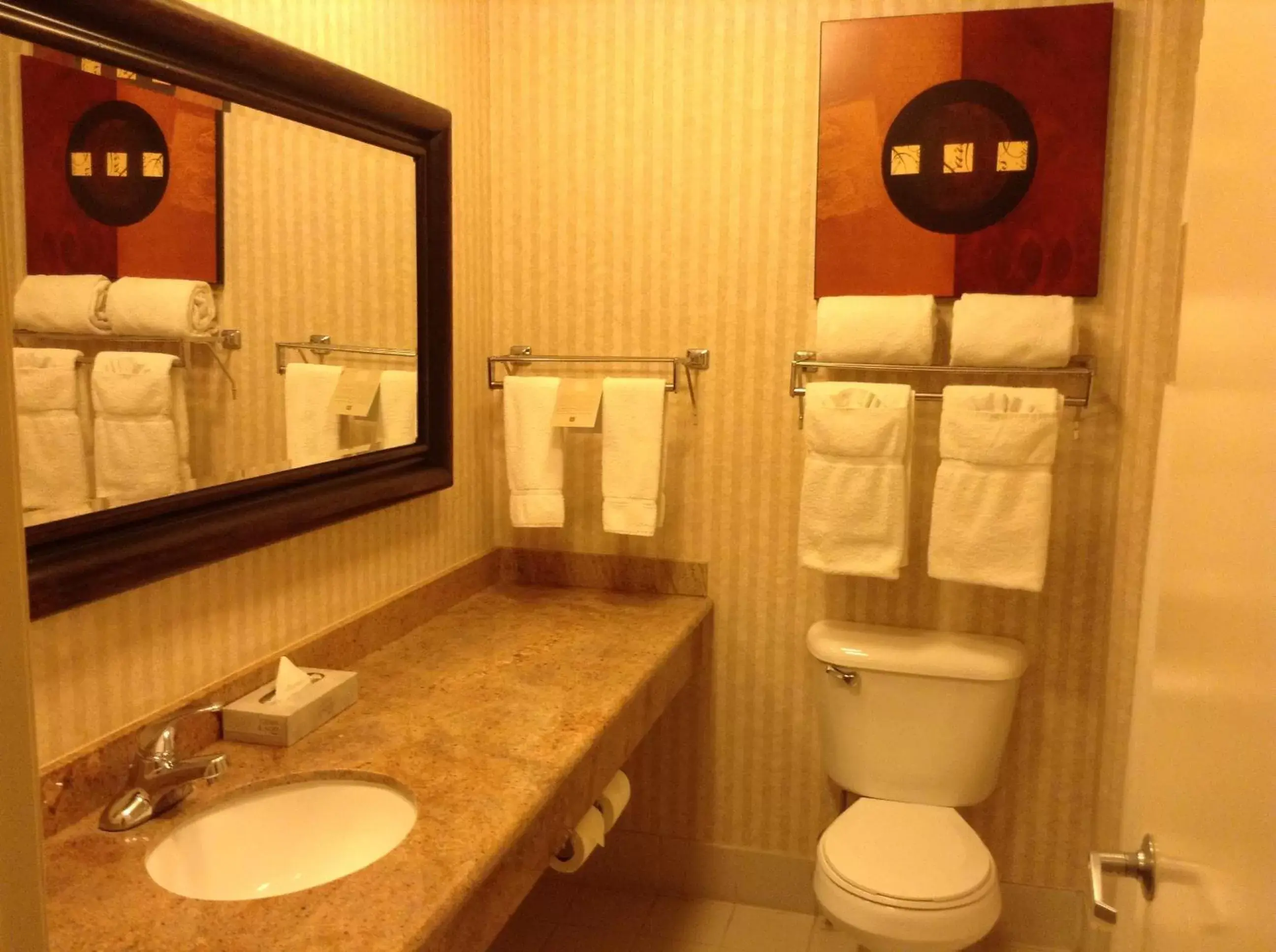 Toilet, Bathroom in Borrego Springs Resort and Spa