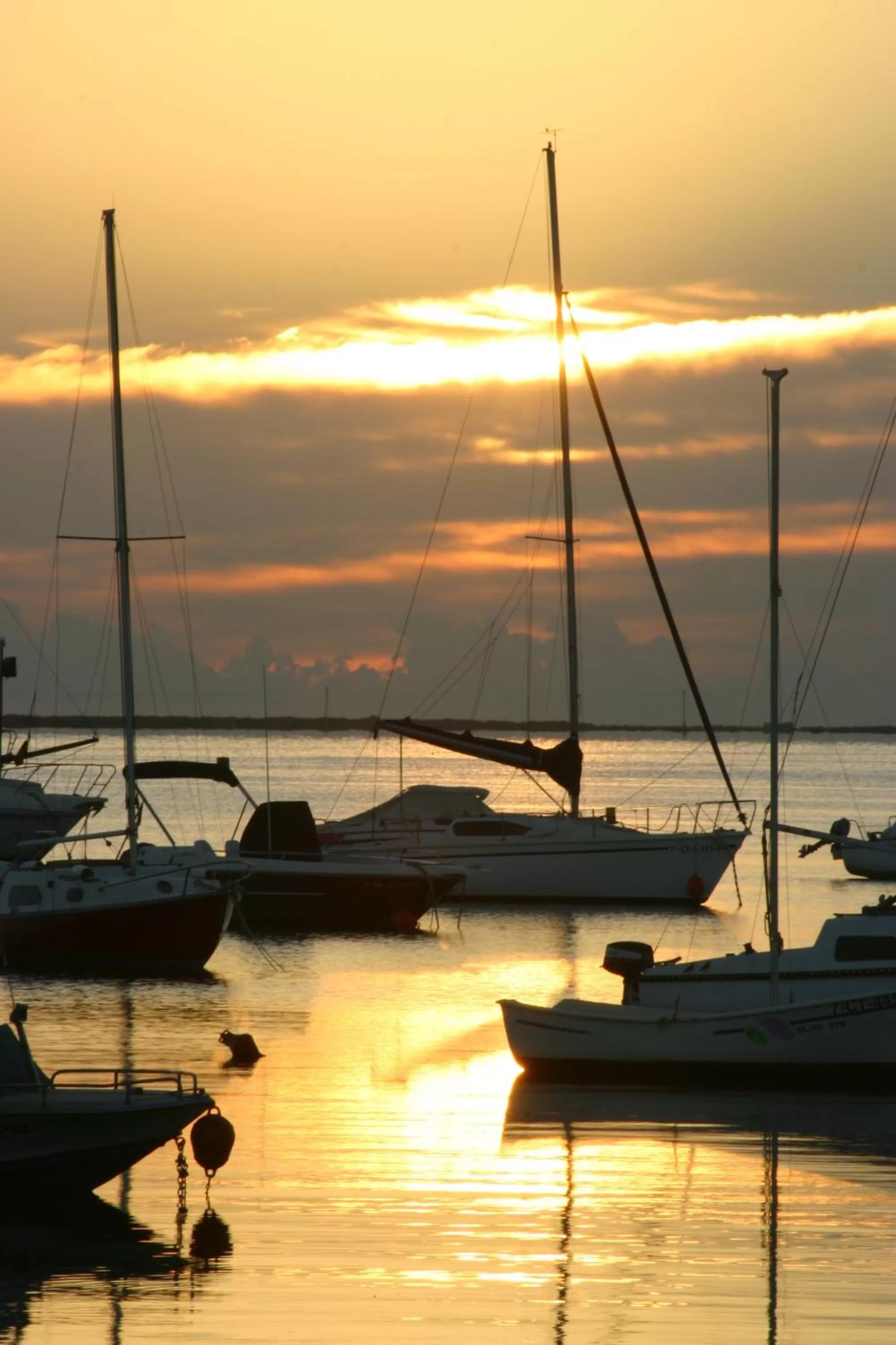 Area and facilities in Hotel Traíña