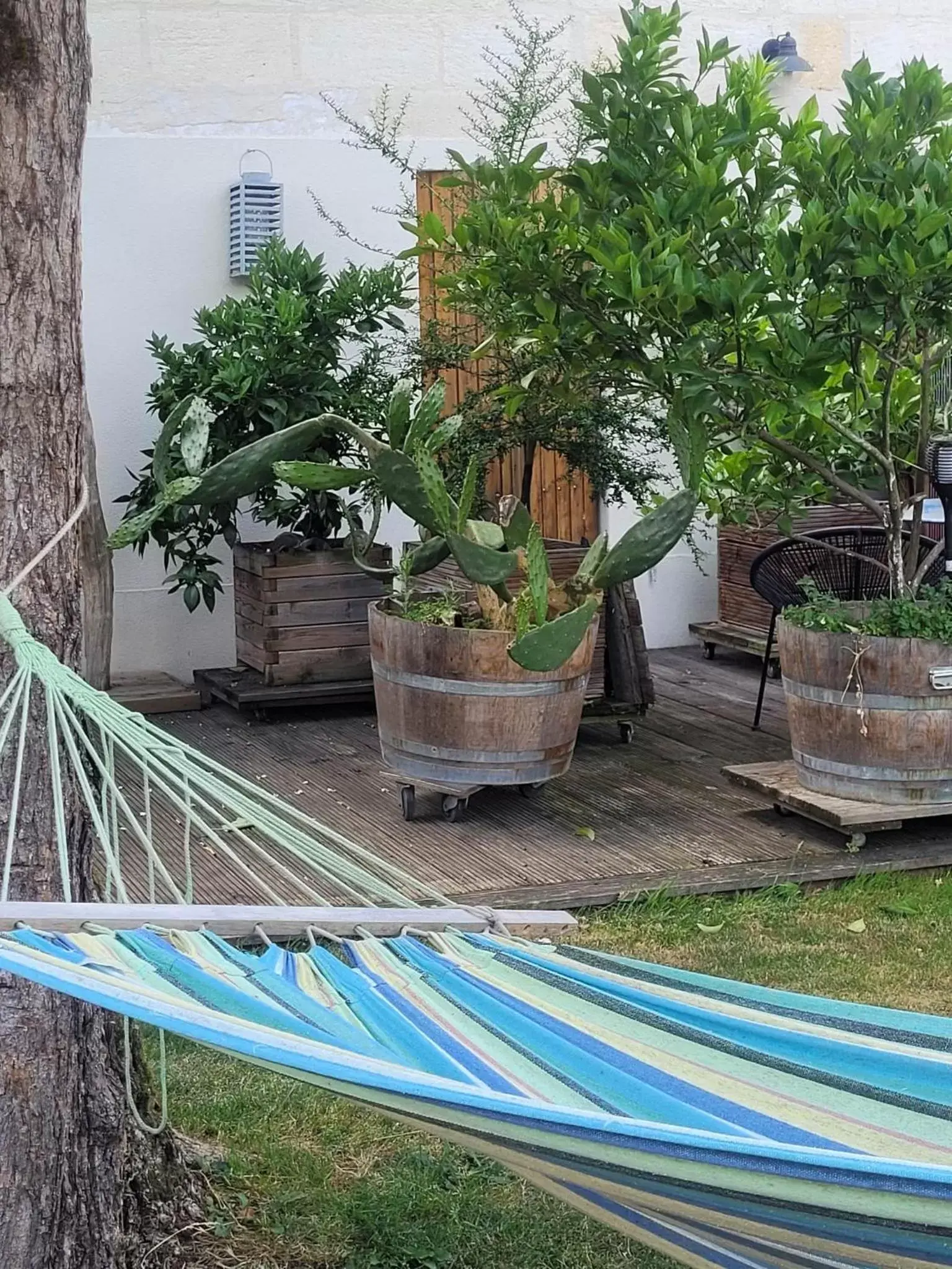 Garden in Chez Jeanfi