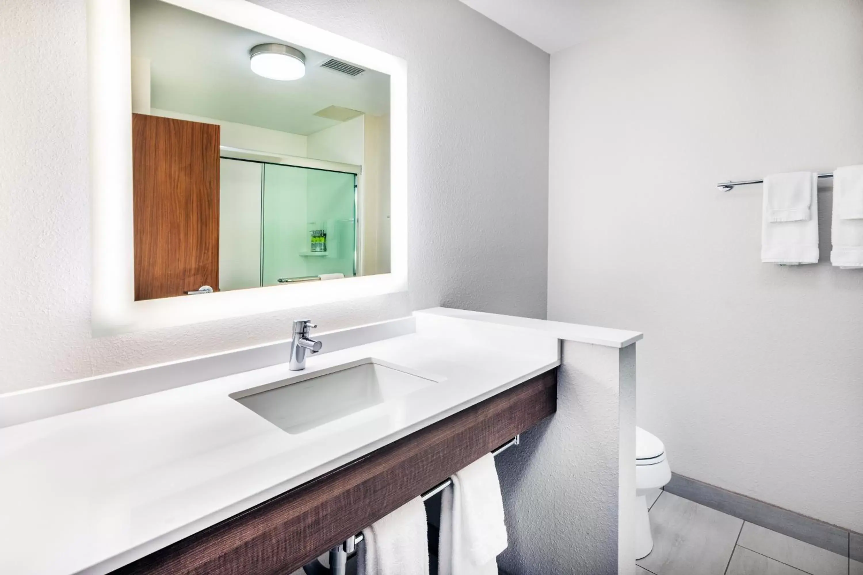 Bathroom in Holiday Inn Express & Suites Ozona, an IHG Hotel