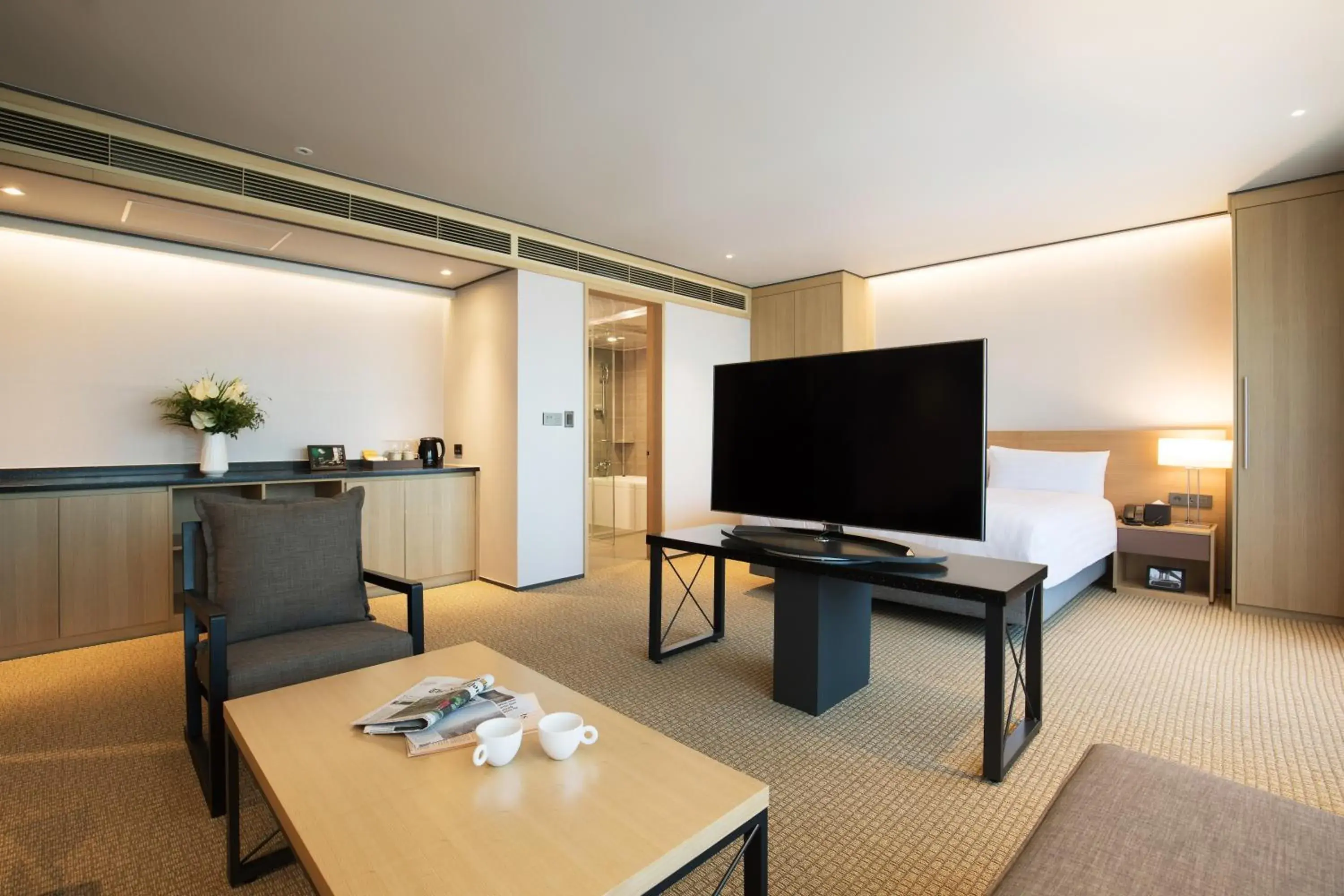 TV/Entertainment Center in Orakai Cheonggyesan Hotel