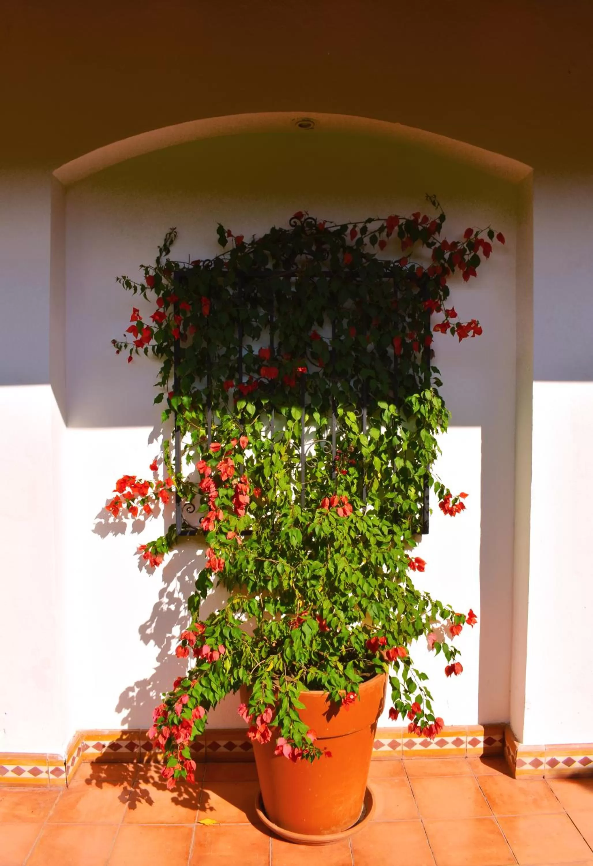 Other in Hotel Boutique Adela