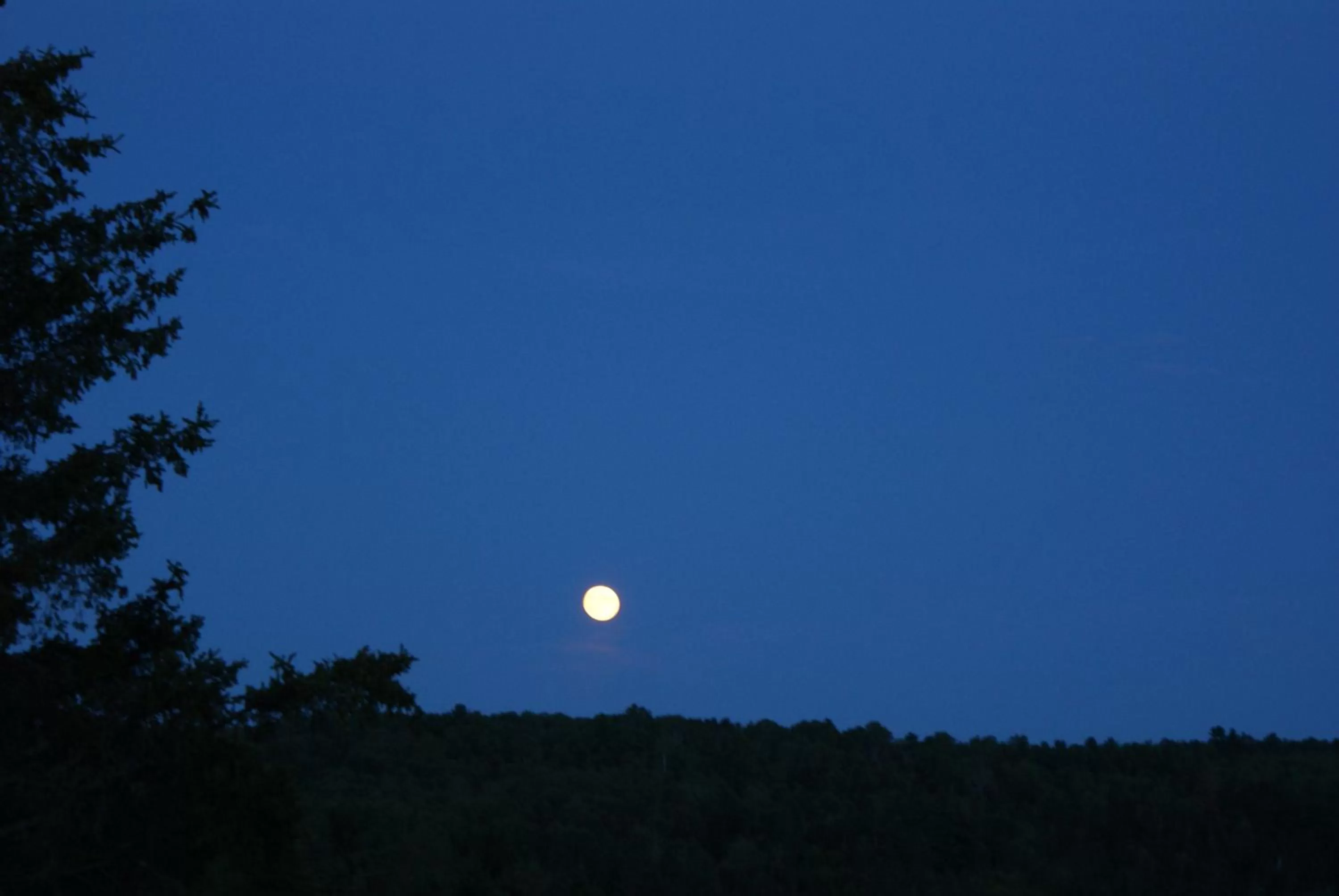 Top of Algonquin Bed and Breakfast