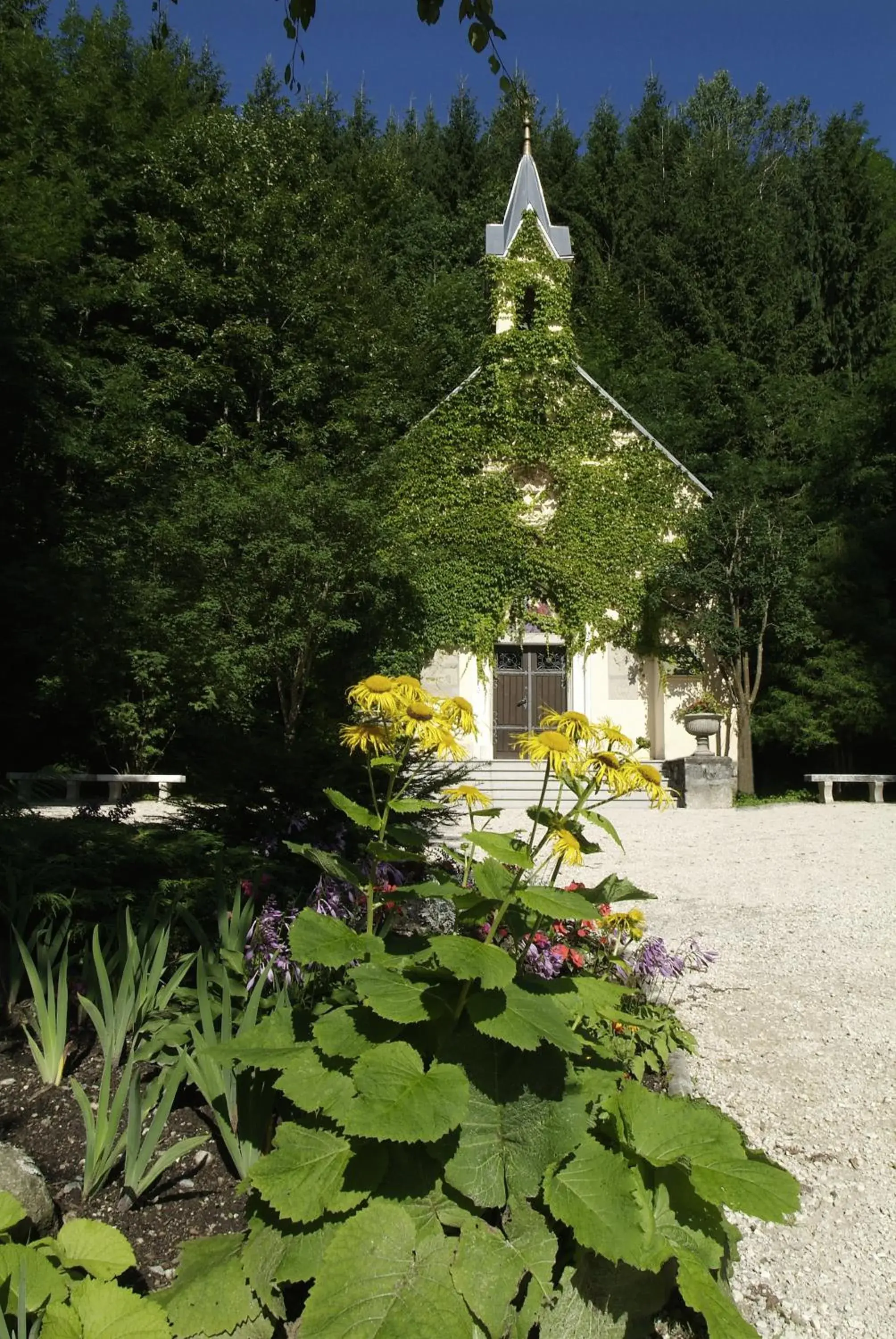 Area and facilities, Property Building in Hotel Warmbaderhof