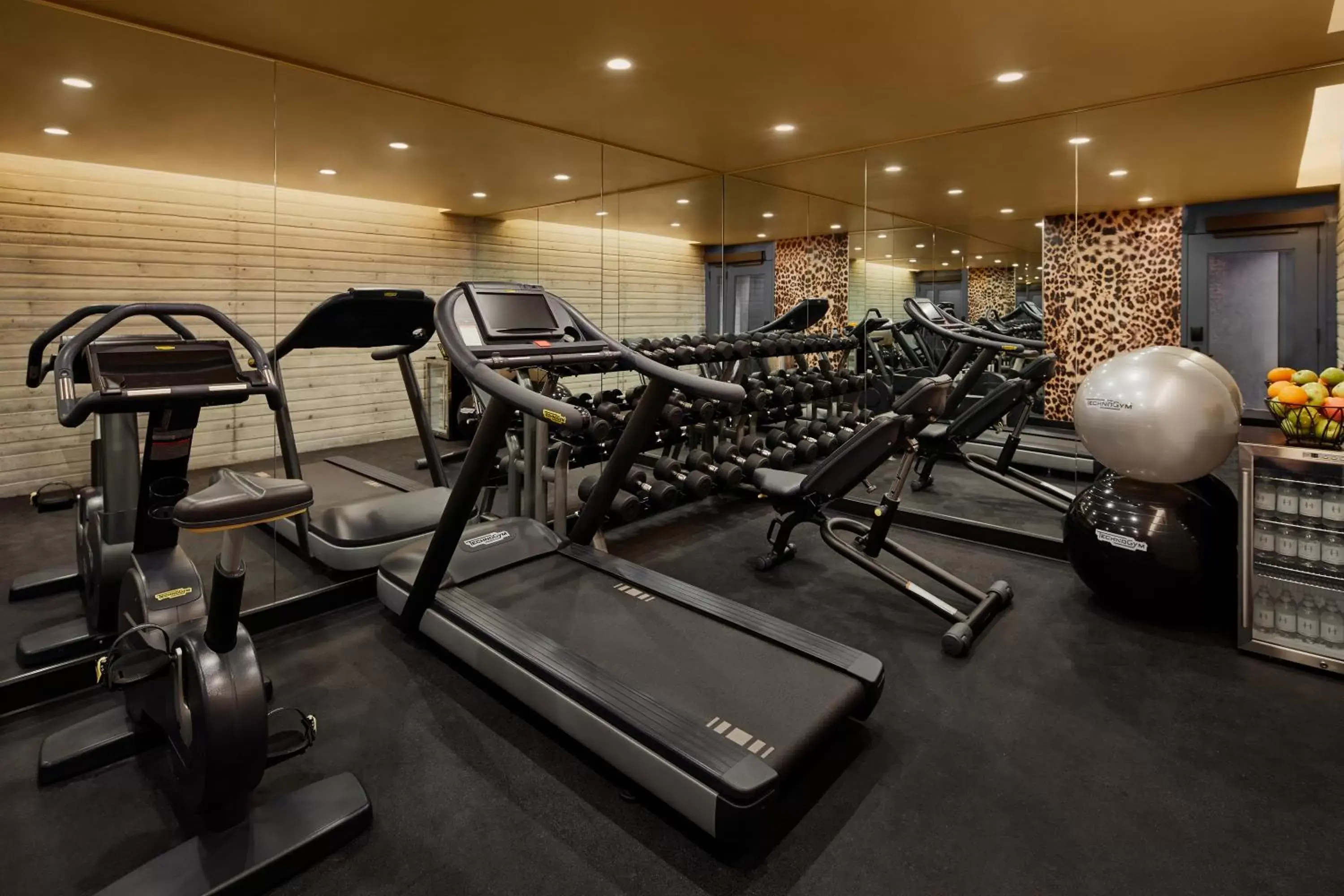Fitness centre/facilities, Fitness Center/Facilities in Hotel Hendricks
