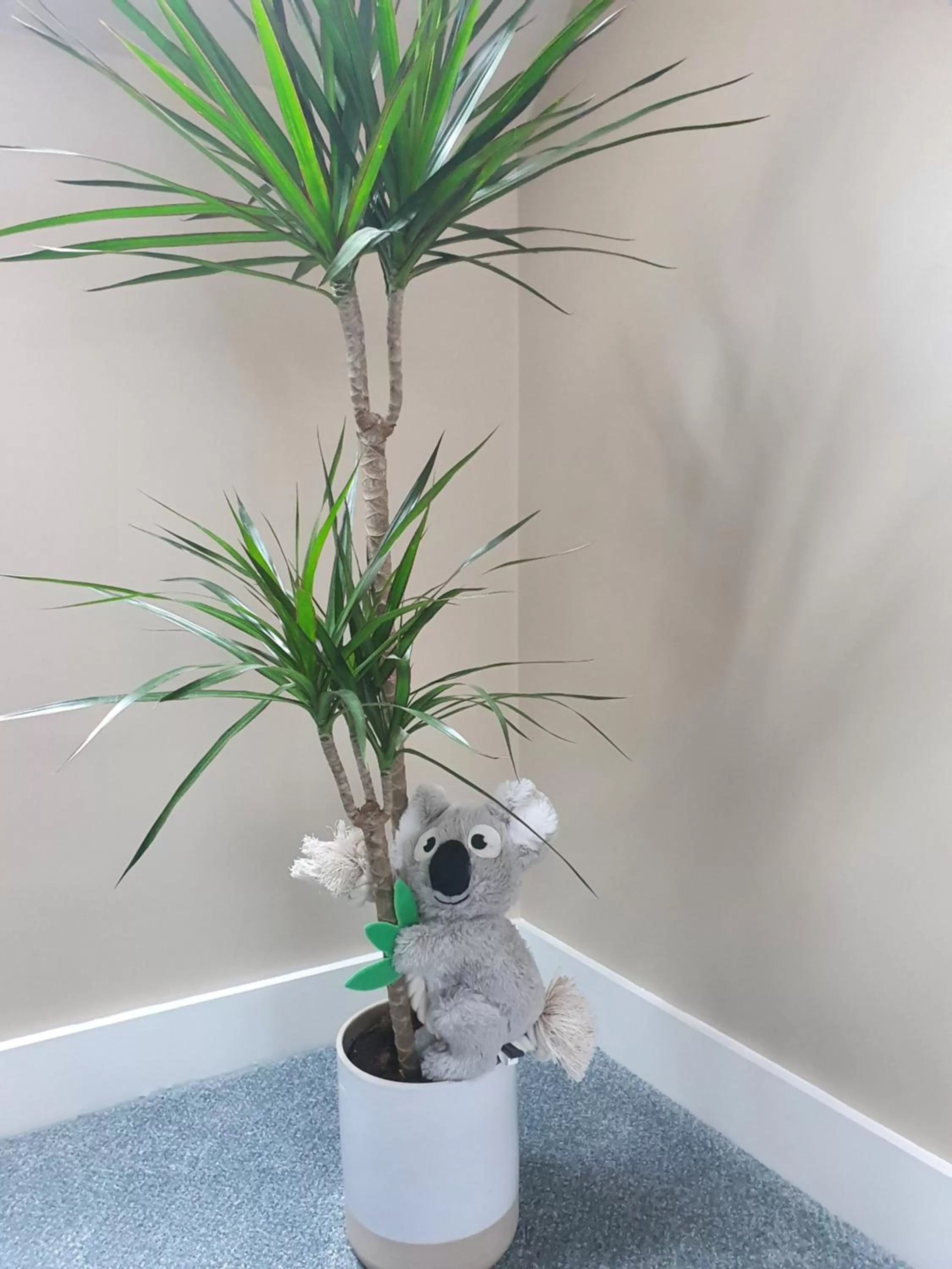 Decorative detail in Maple Cottage B&B