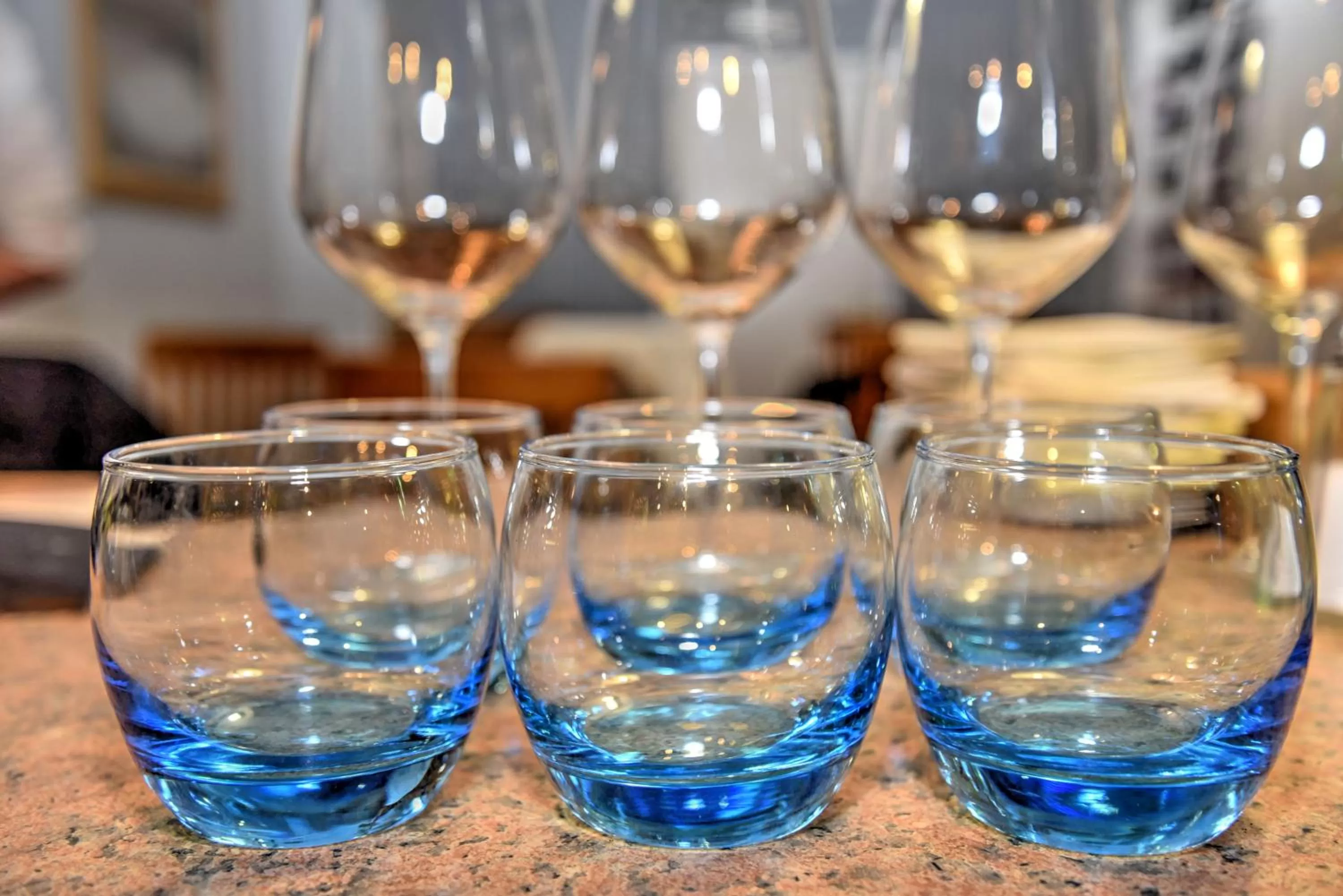 Dinner in Plas Tan-Yr-Allt Historic Country House B&B