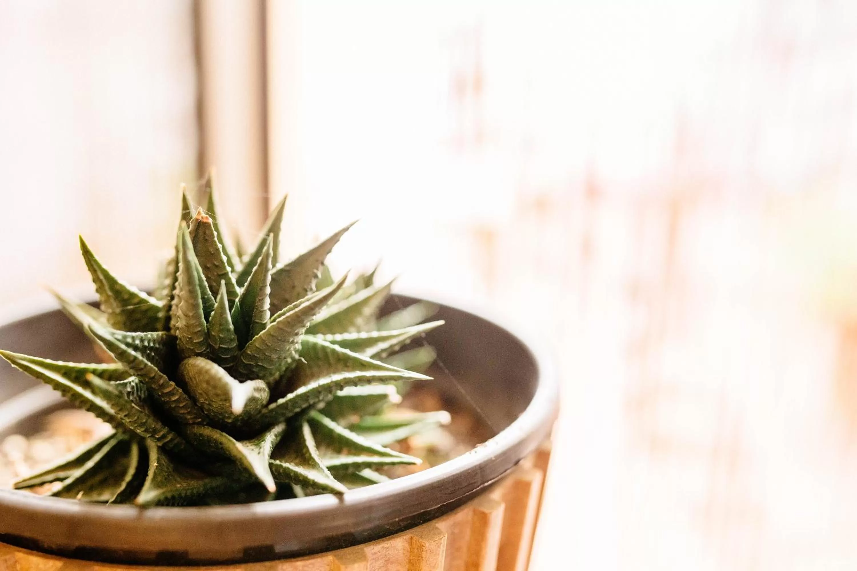 Decorative detail in Hotel Can Batiste