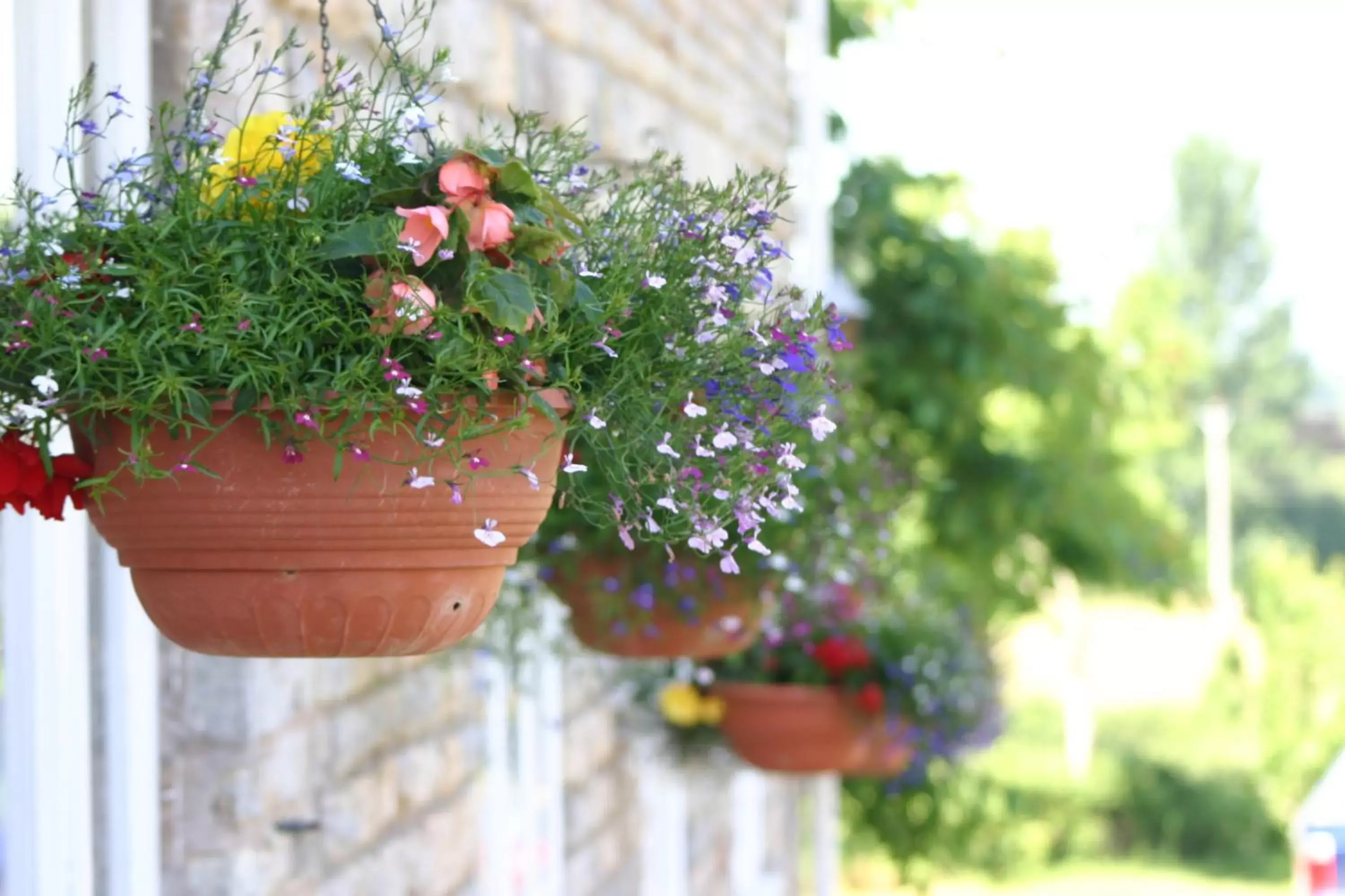 Facade/entrance in Crossways Facade/entrance in Crossways