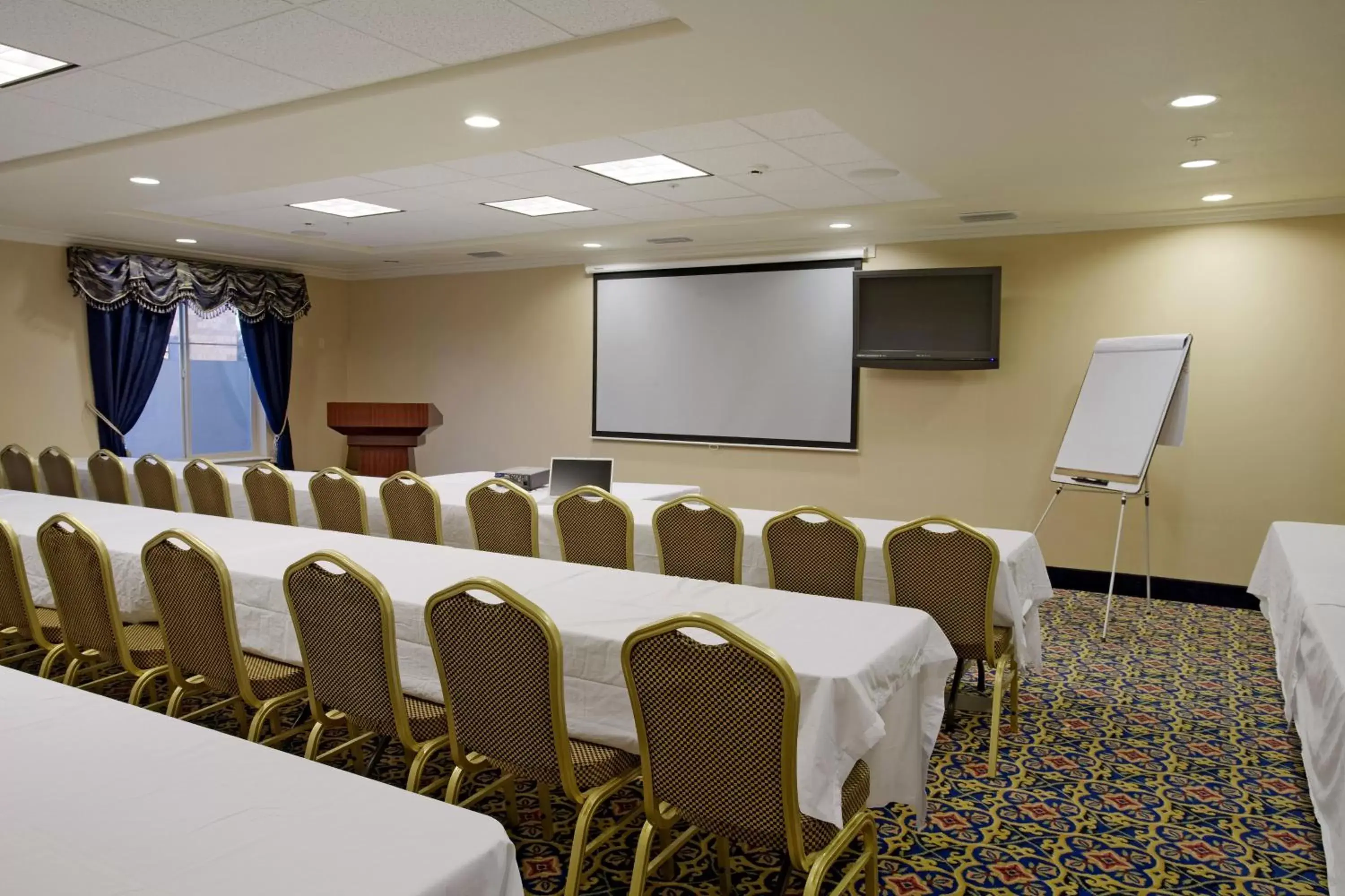 Meeting/conference room in Holiday Inn Express Lathrop - South Stockton, an IHG Hotel