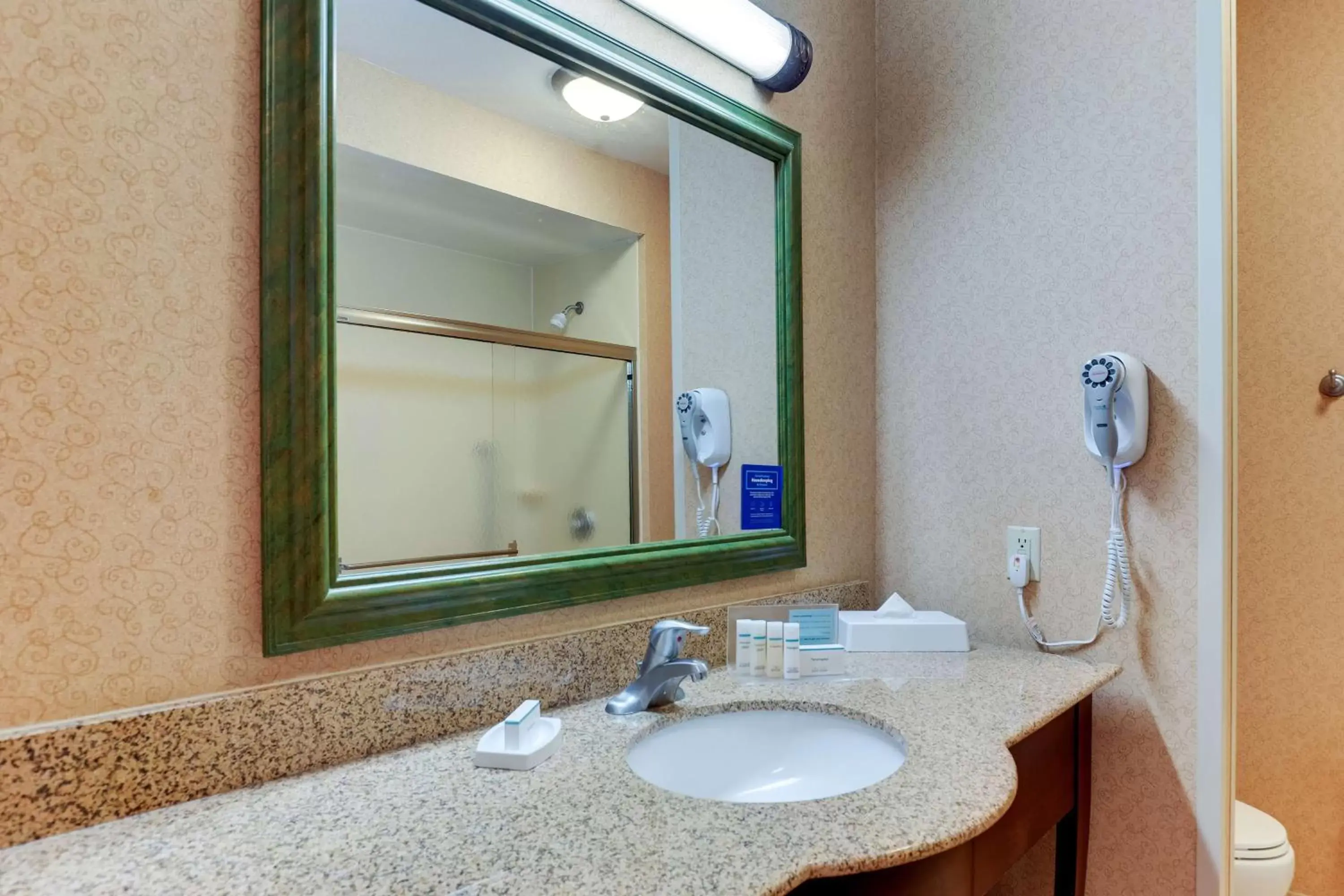 Bathroom in Hampton Inn & Suites St. Louis - Edwardsville