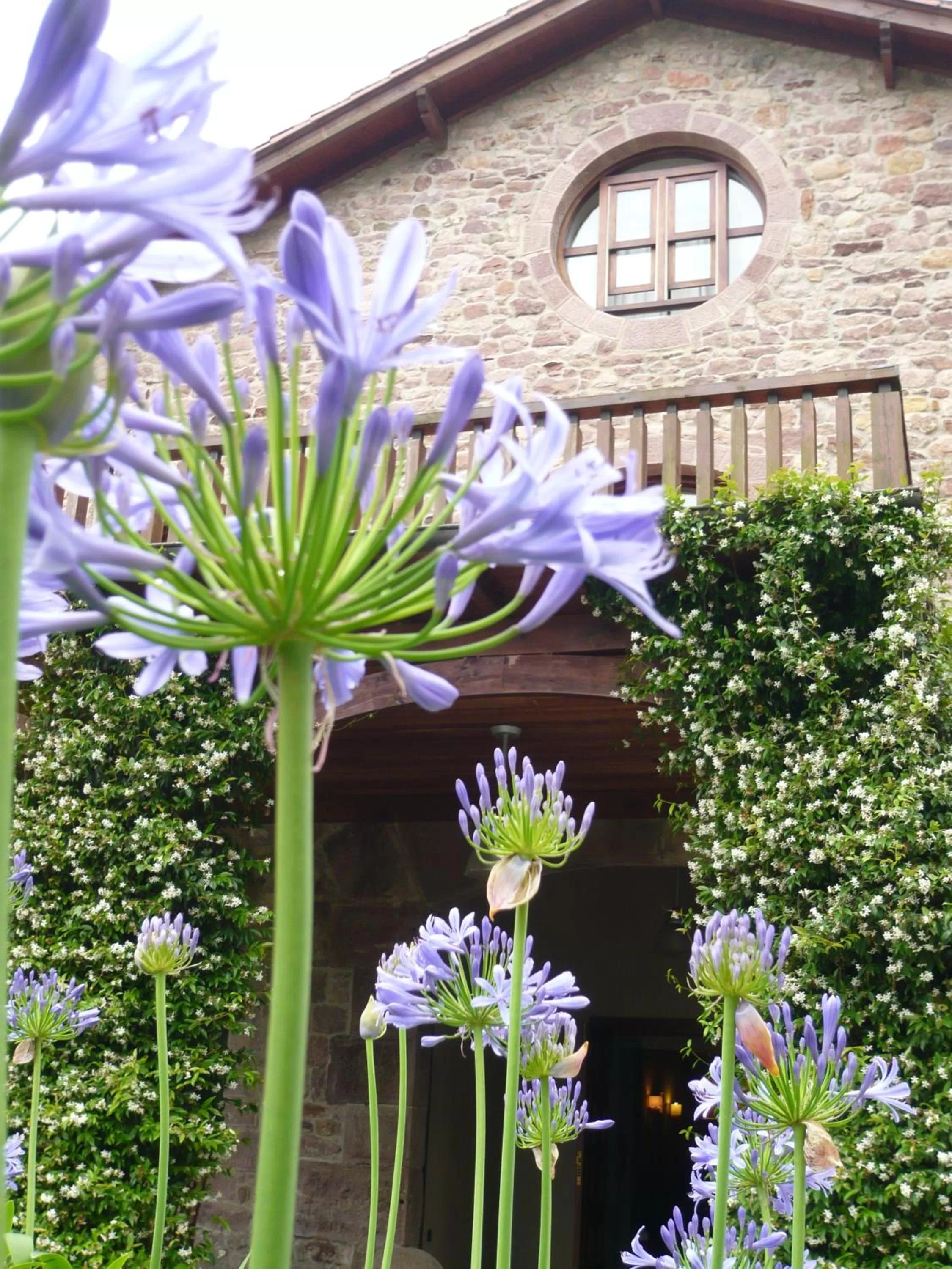 Bird's eye view in Jardin de Carrejo