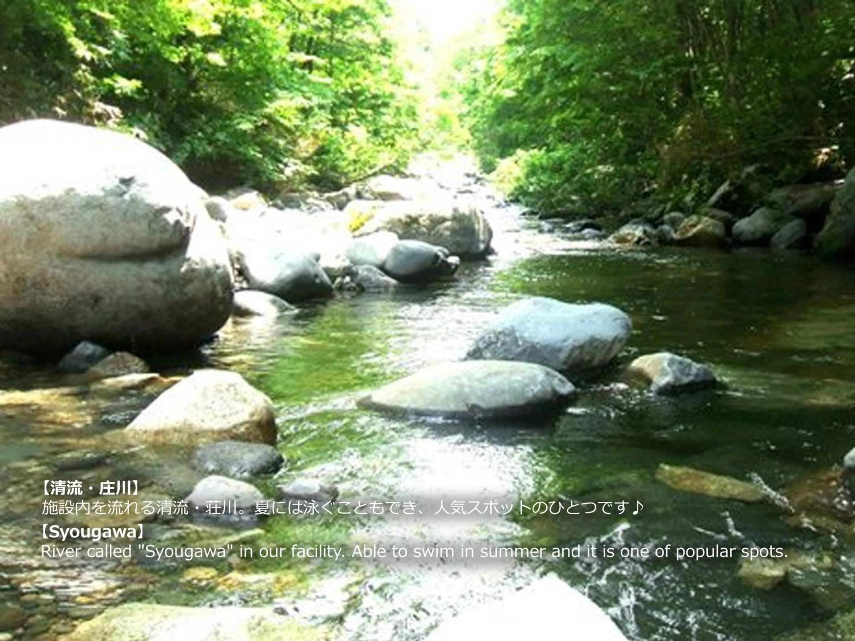 Natural landscape in Resort Villa Takayama