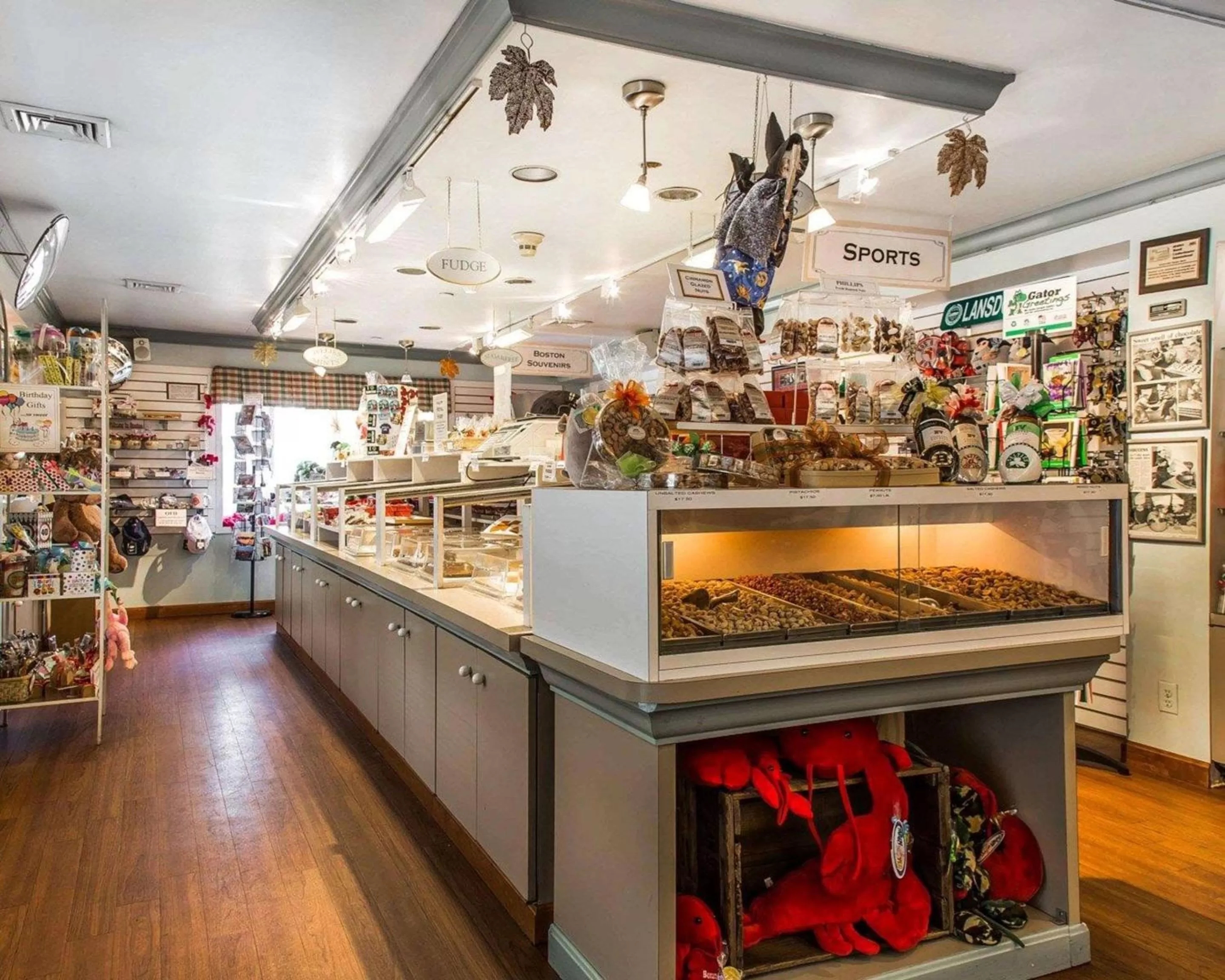 Other in Comfort Inn Boston