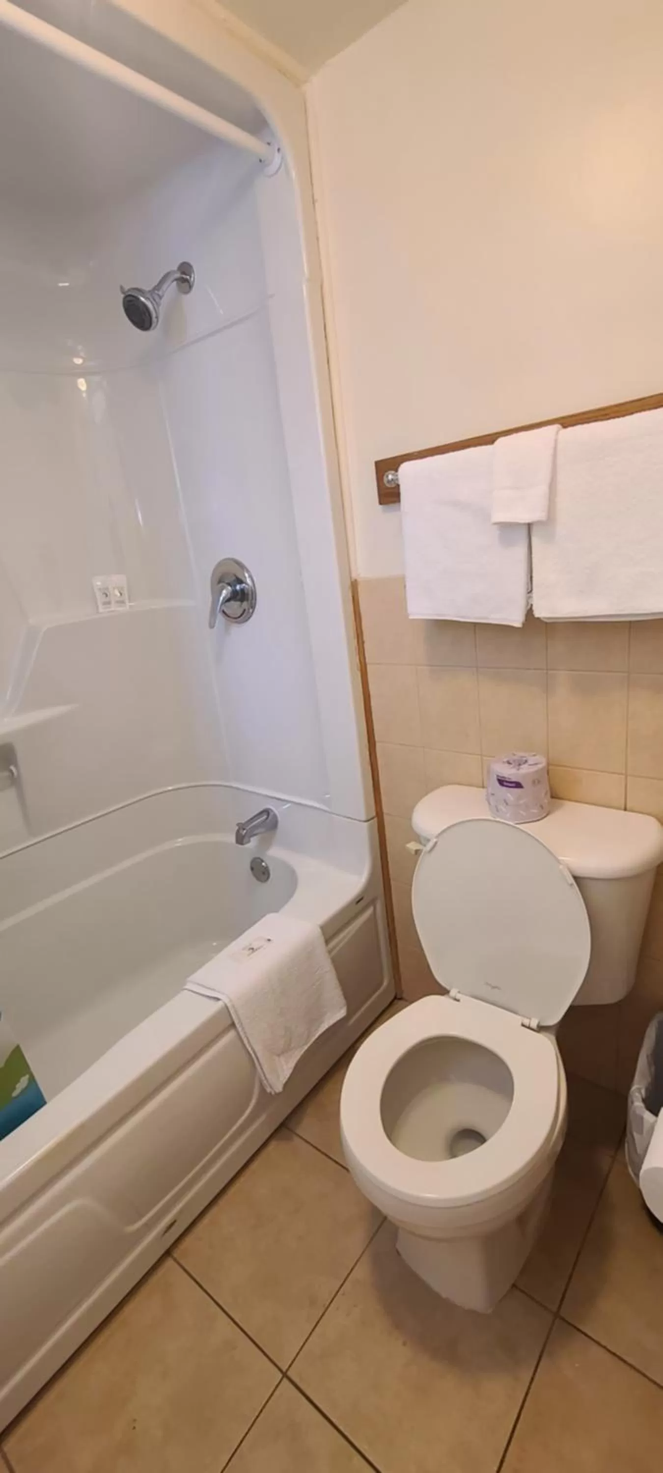 Toilet in Choice Inn by the falls