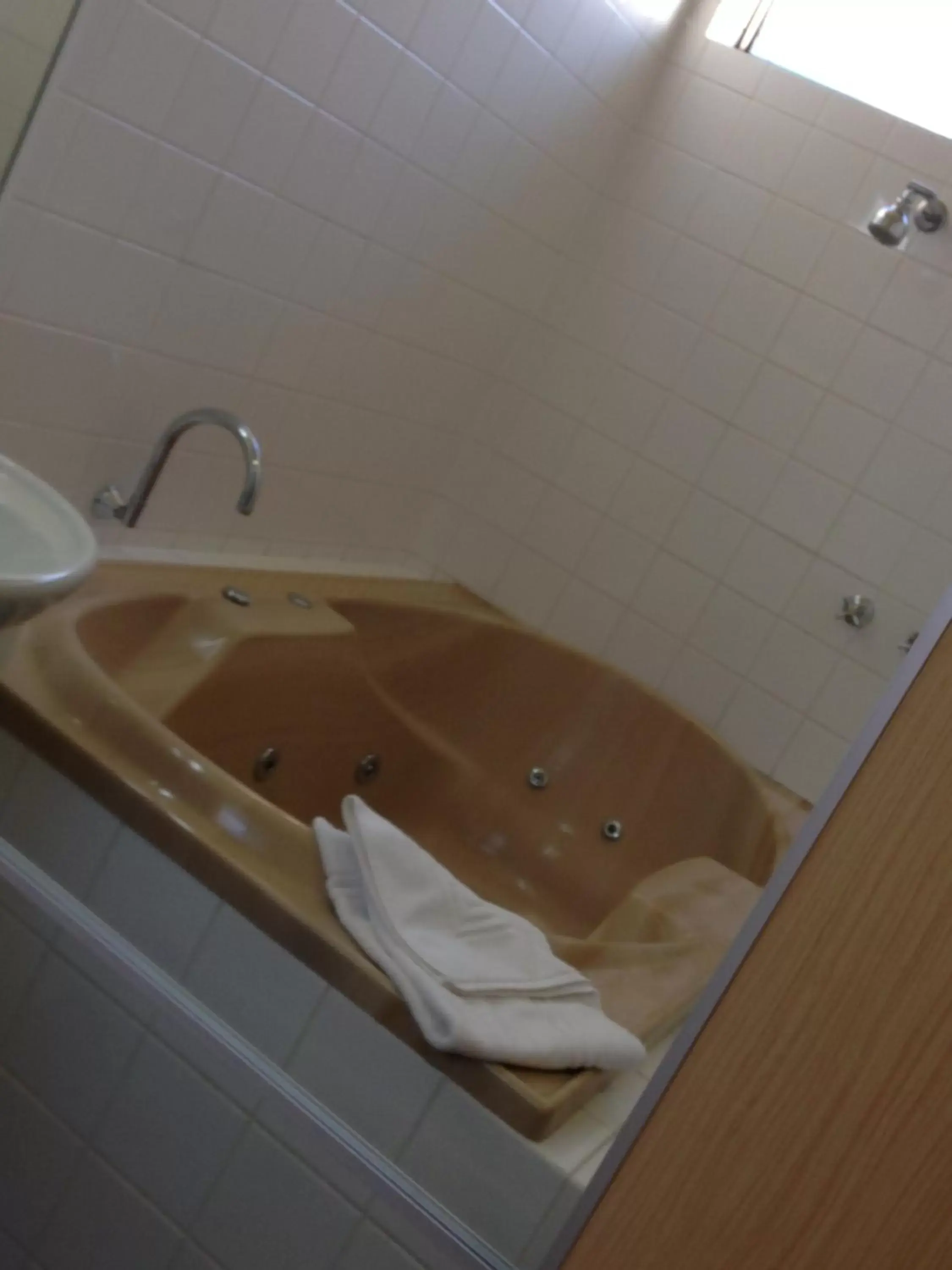 Shower, Bathroom in Abel Tasman Waterfront Motel