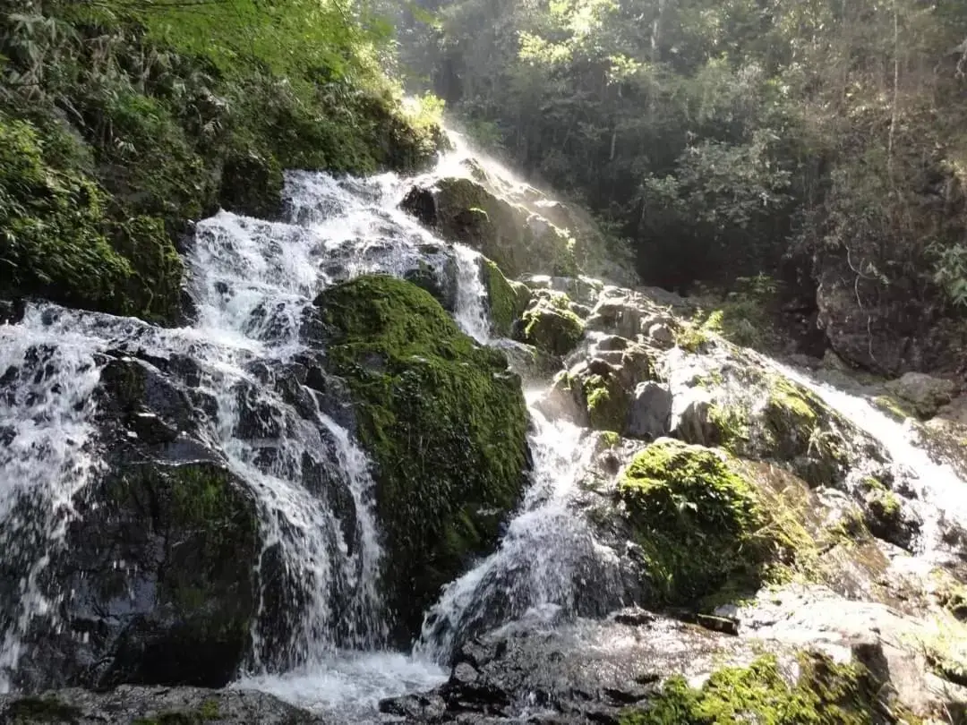 Natural Landscape in Khaosok Rainforest Resort