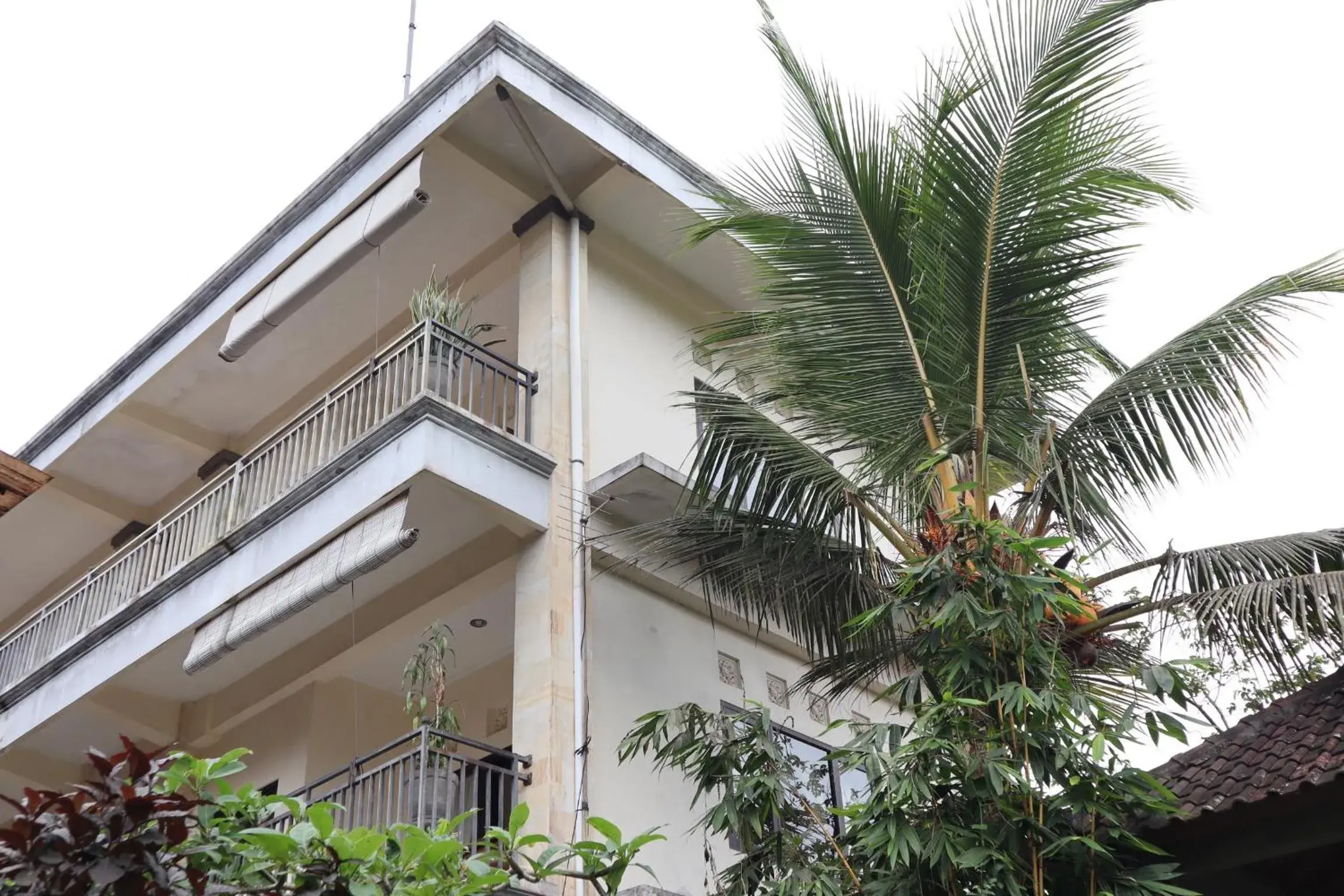 Property Building in Wijaya Guest House