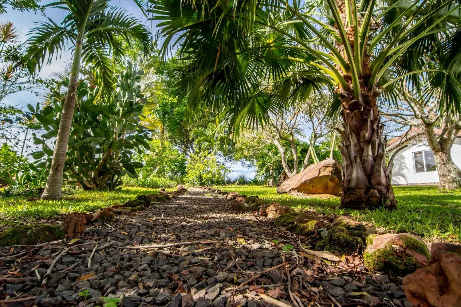 Garden in Villa Margarita