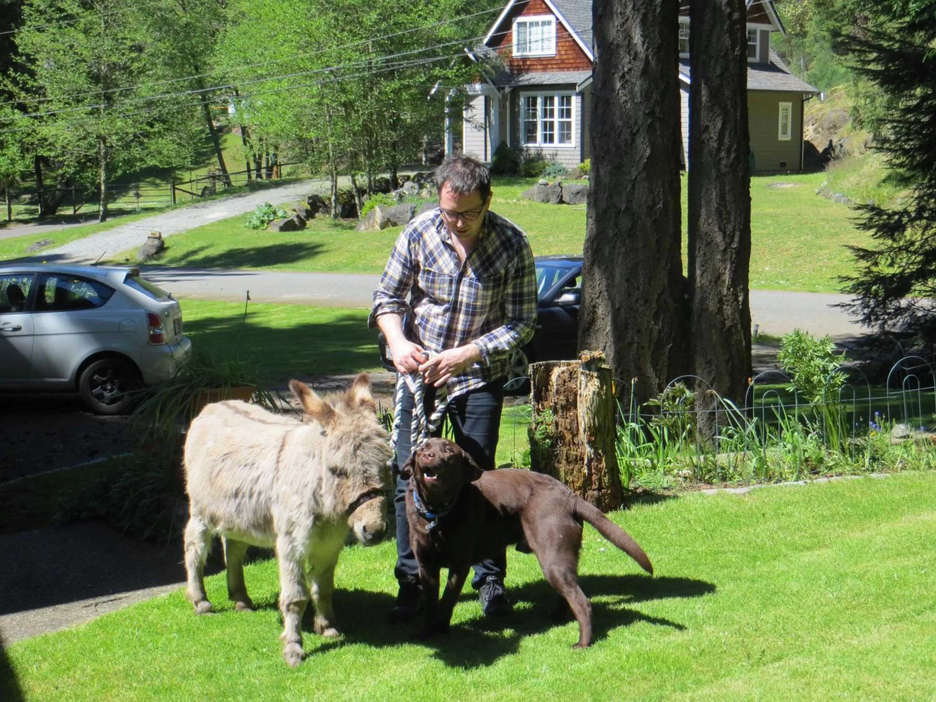 Misty Meadows B and B