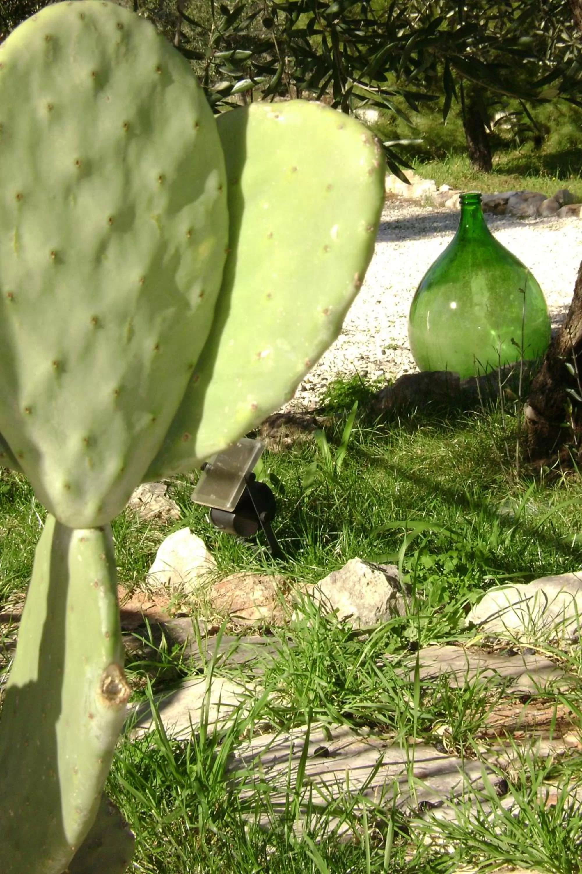 Natural landscape in B&B Villa Mediterranea with parking space