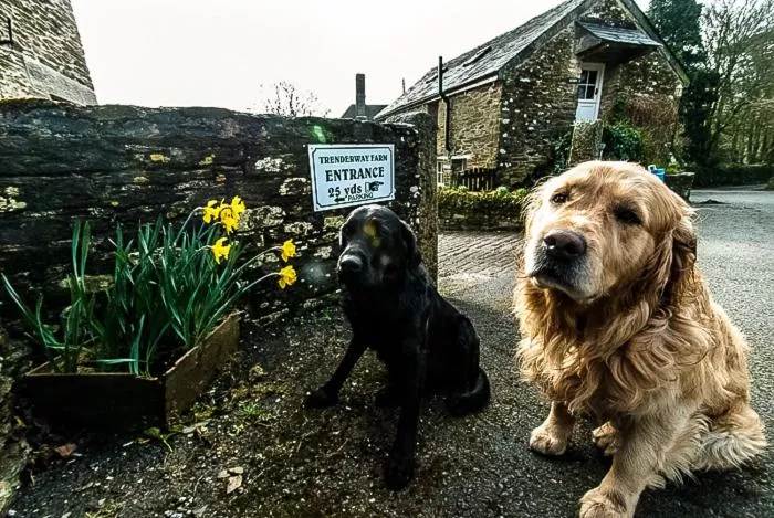 Facade/entrance, Pets in Trenderway Farm