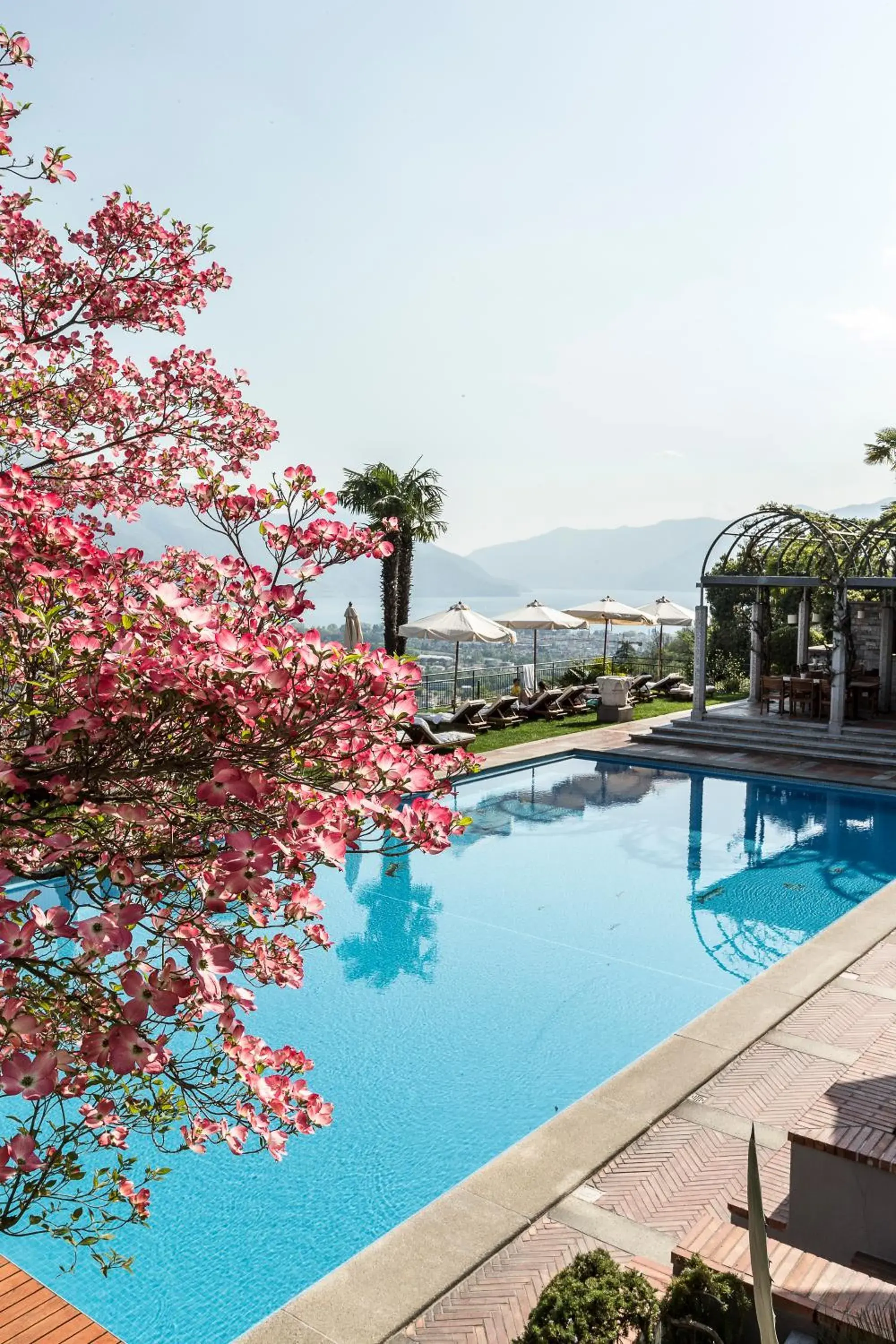 Swimming Pool in Villa Orselina - Small Luxury Hotel