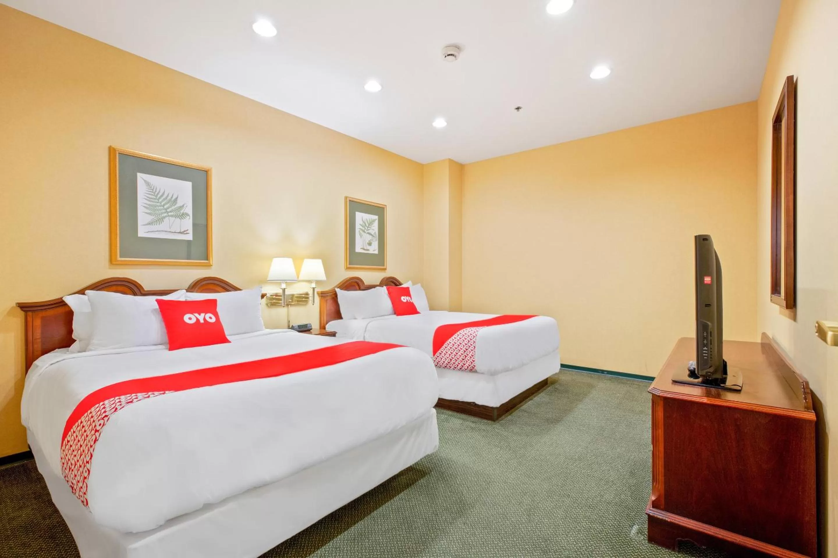 Bedroom, Bed in OYO Hotel St Louis Downtown City Center MO